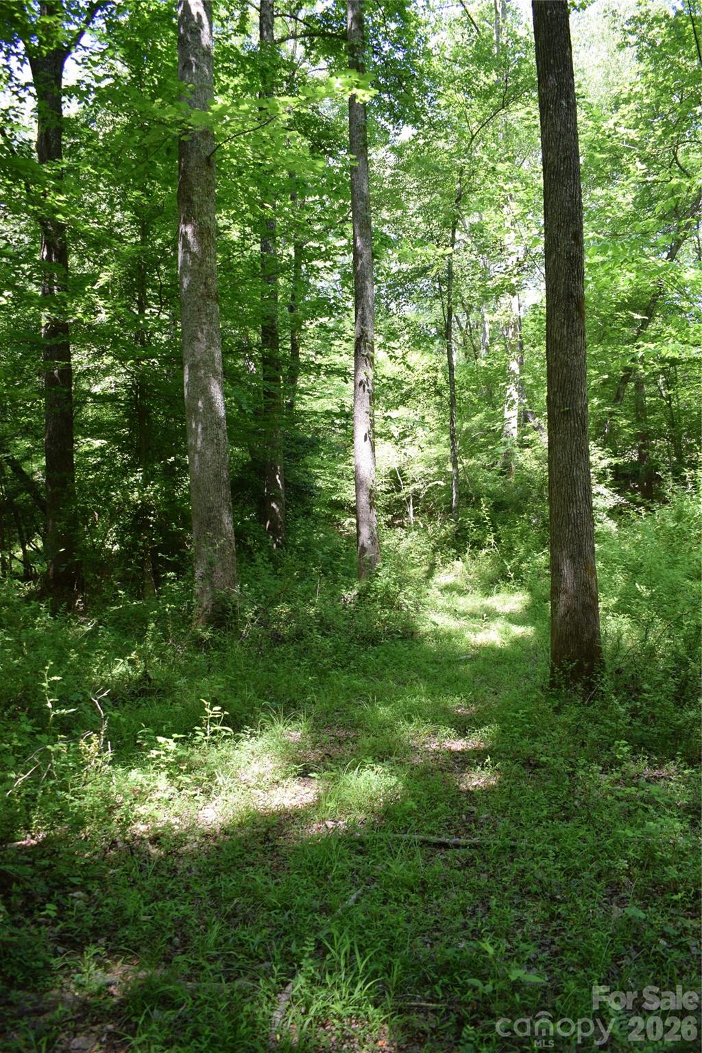 0 Floyd Blackwell Road Property Photo 19