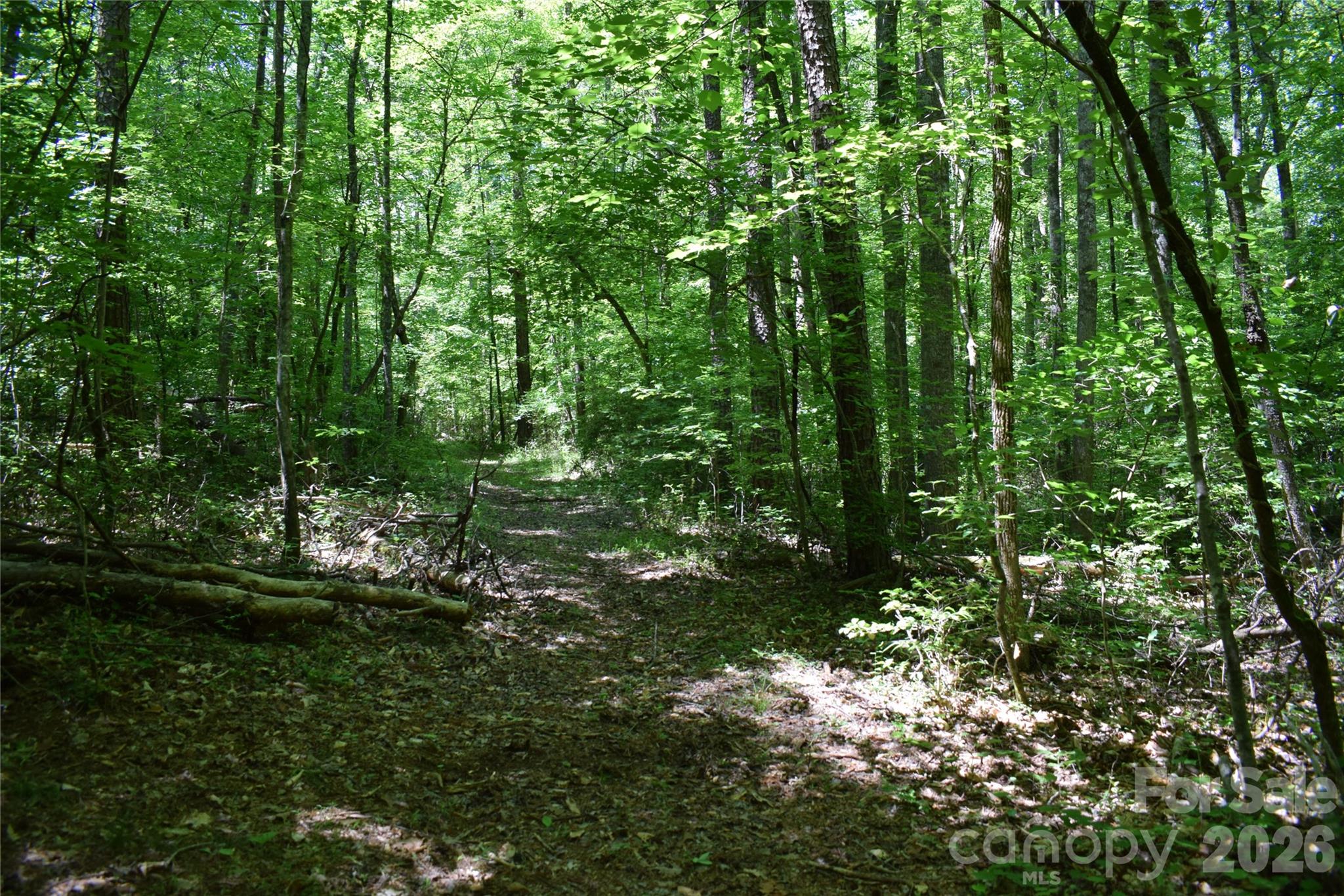 0 Floyd Blackwell Road Property Photo 20