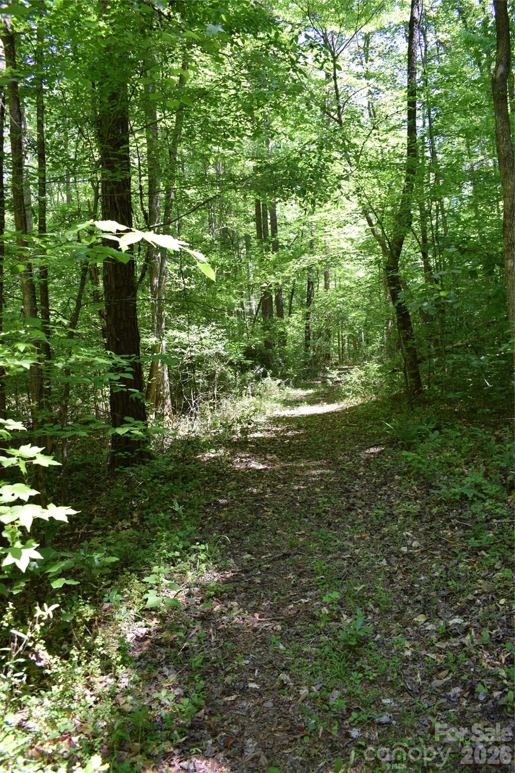 0 Floyd Blackwell Road Property Photo 22