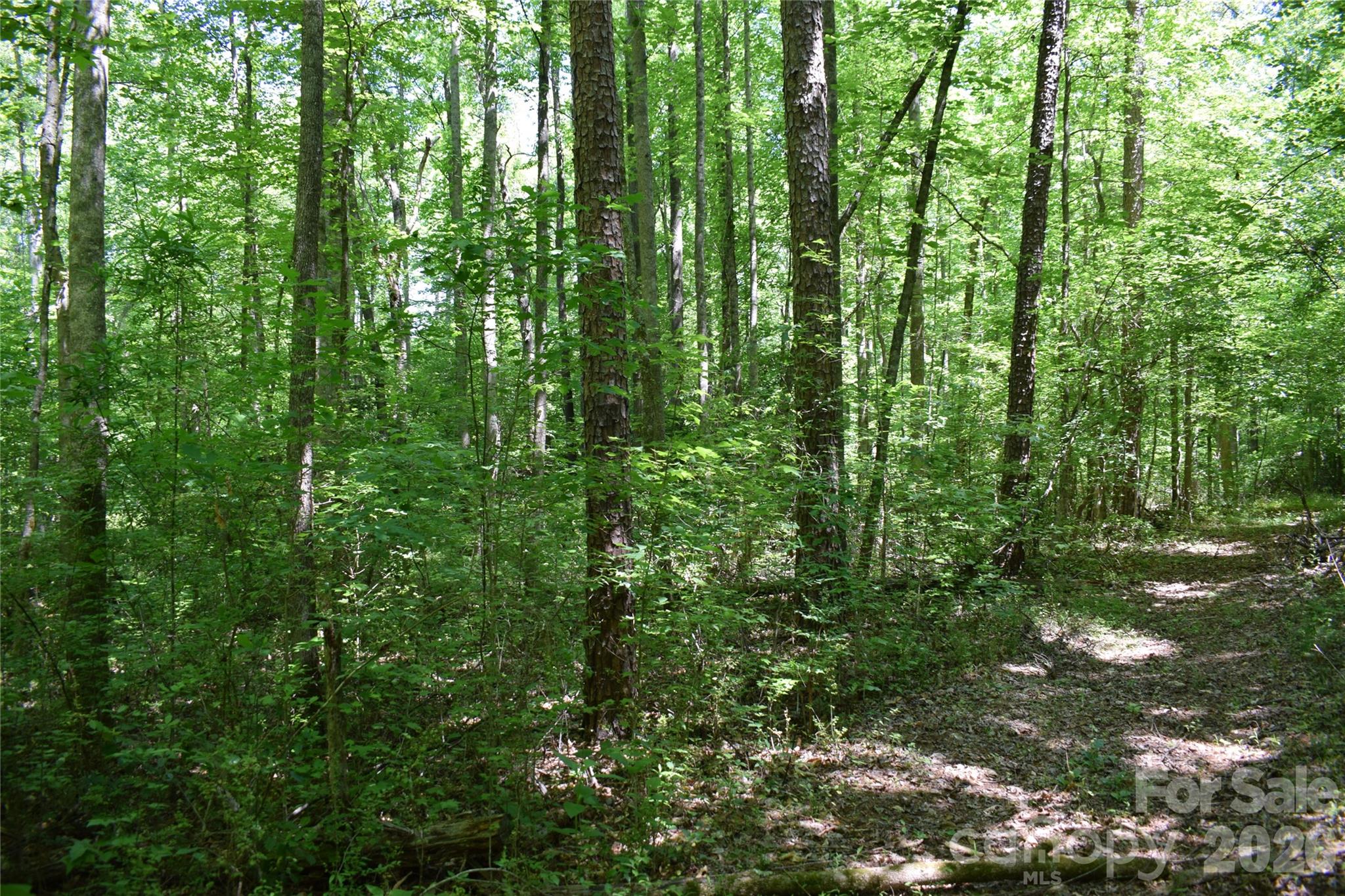 0 Floyd Blackwell Road Property Photo 23