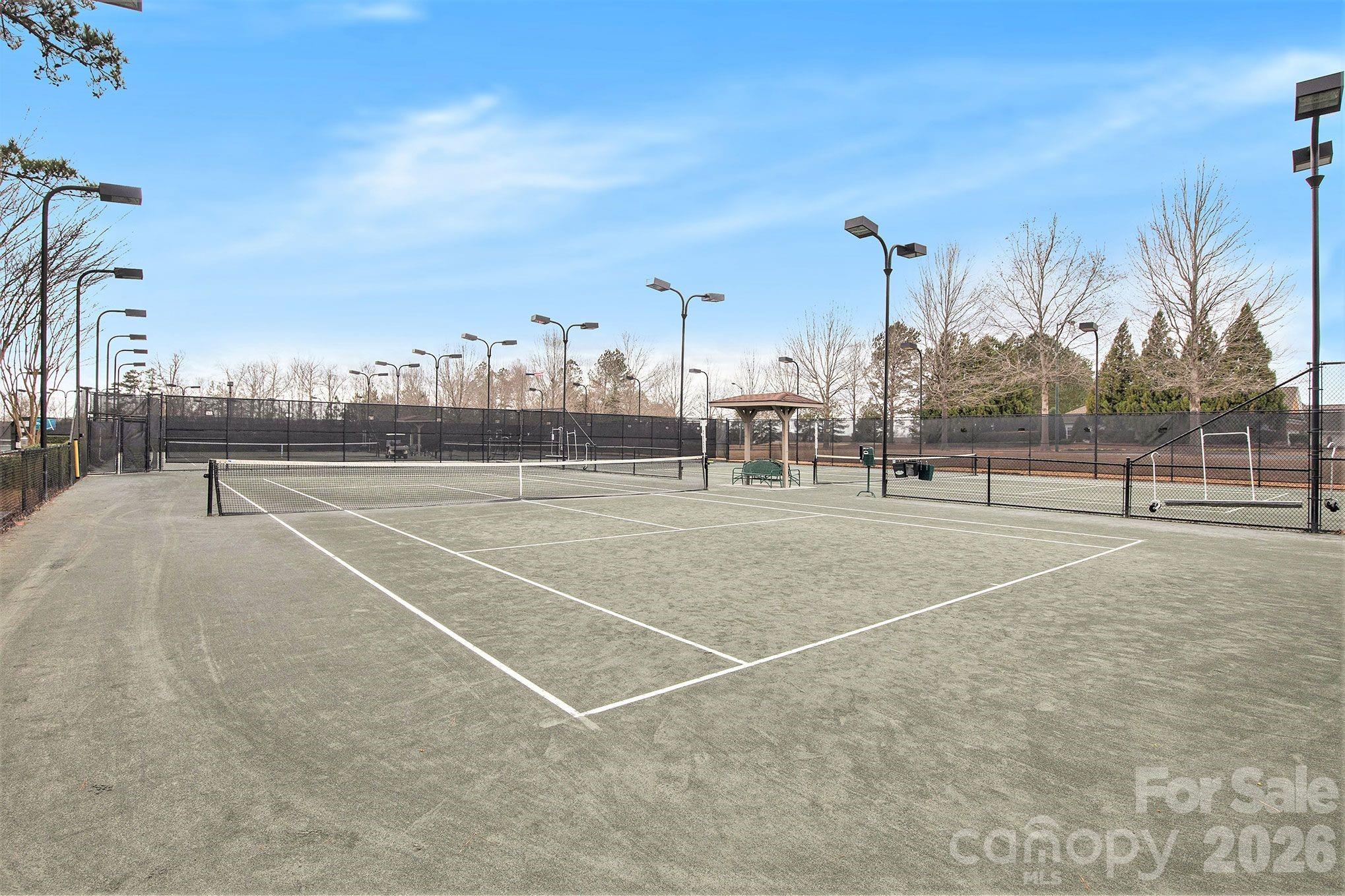 43041 Mimosa Court Property Photo 46