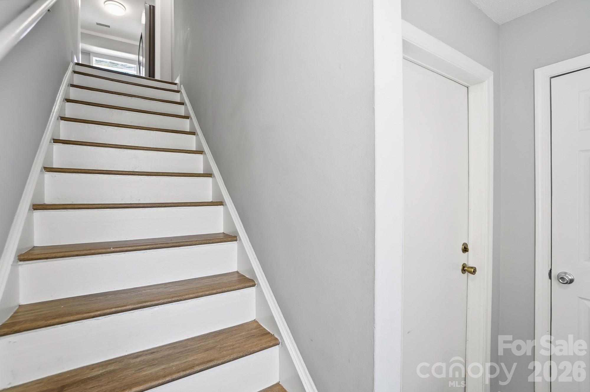 8529 Castle Pine Court Property Photo 4