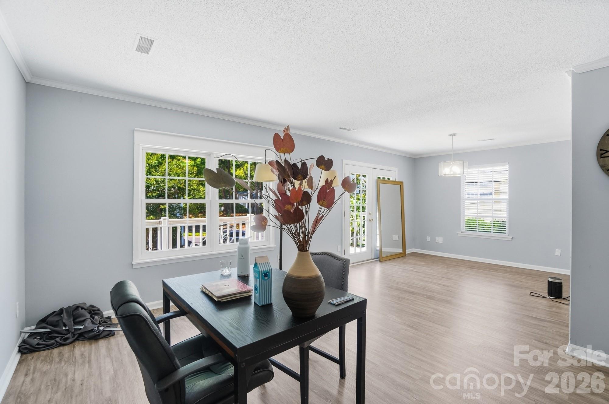 8529 Castle Pine Court Property Photo 16