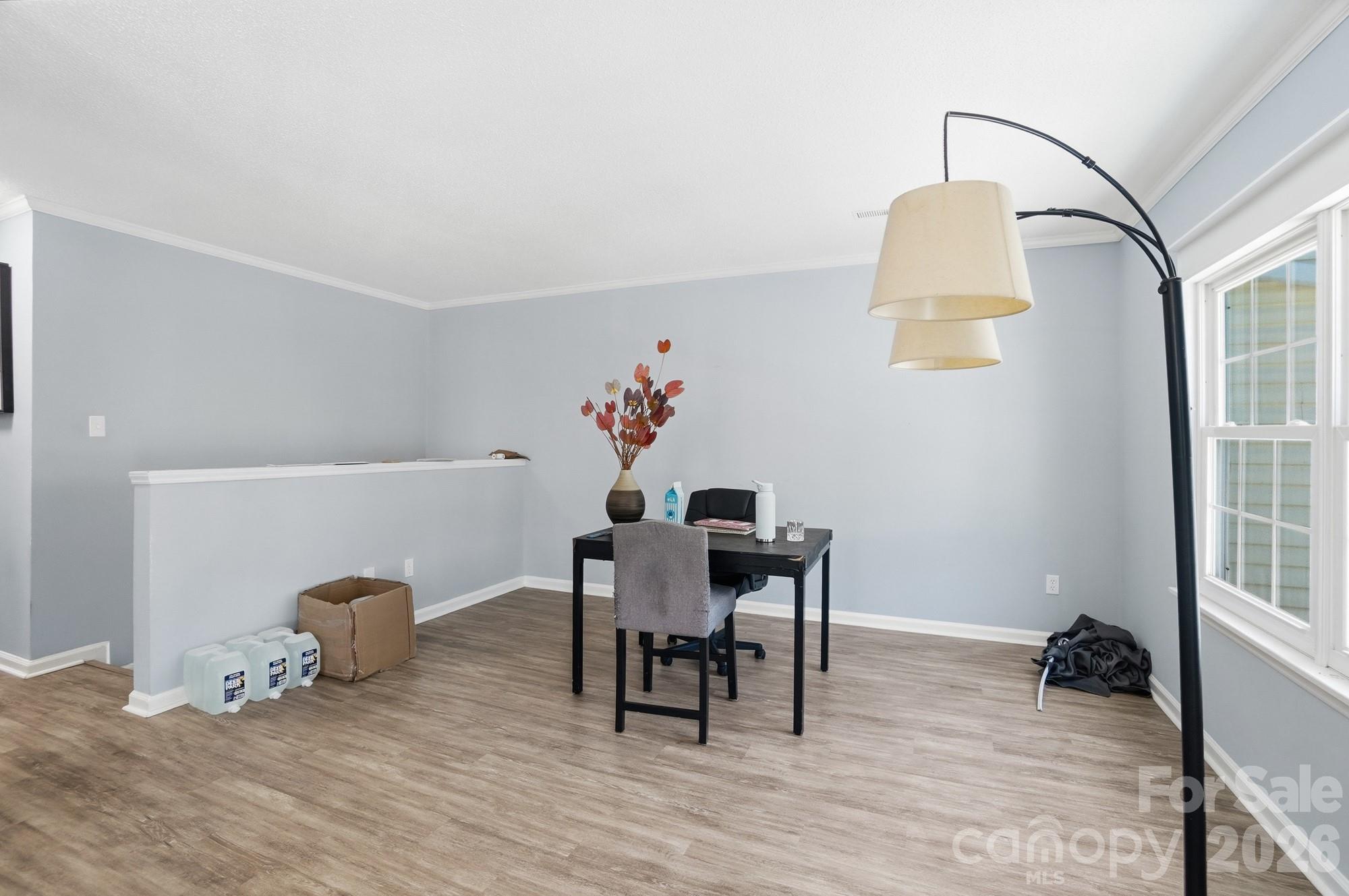 8529 Castle Pine Court Property Photo 19