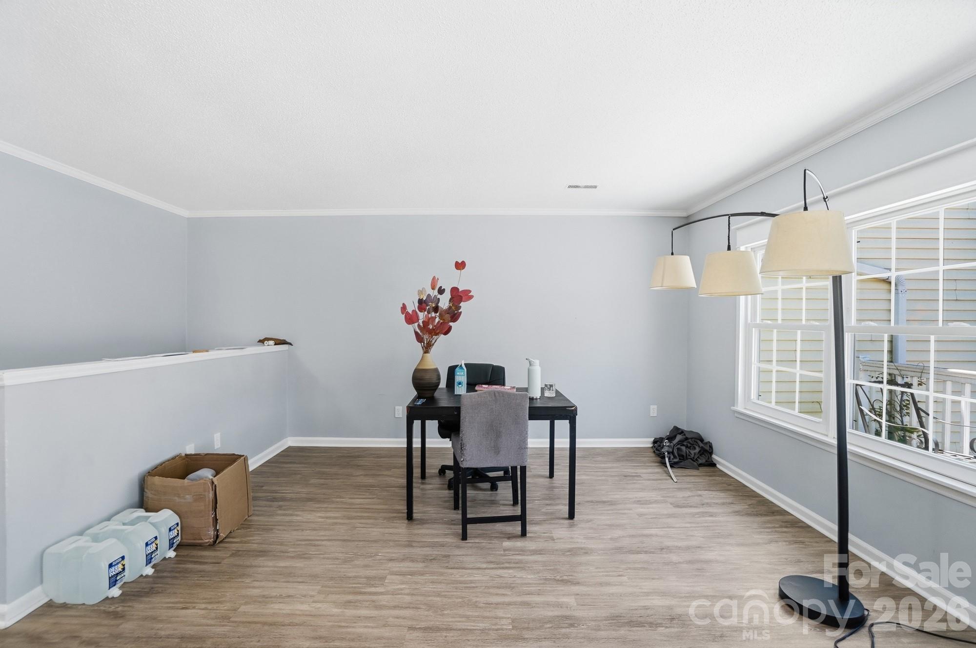 8529 Castle Pine Court Property Photo 28