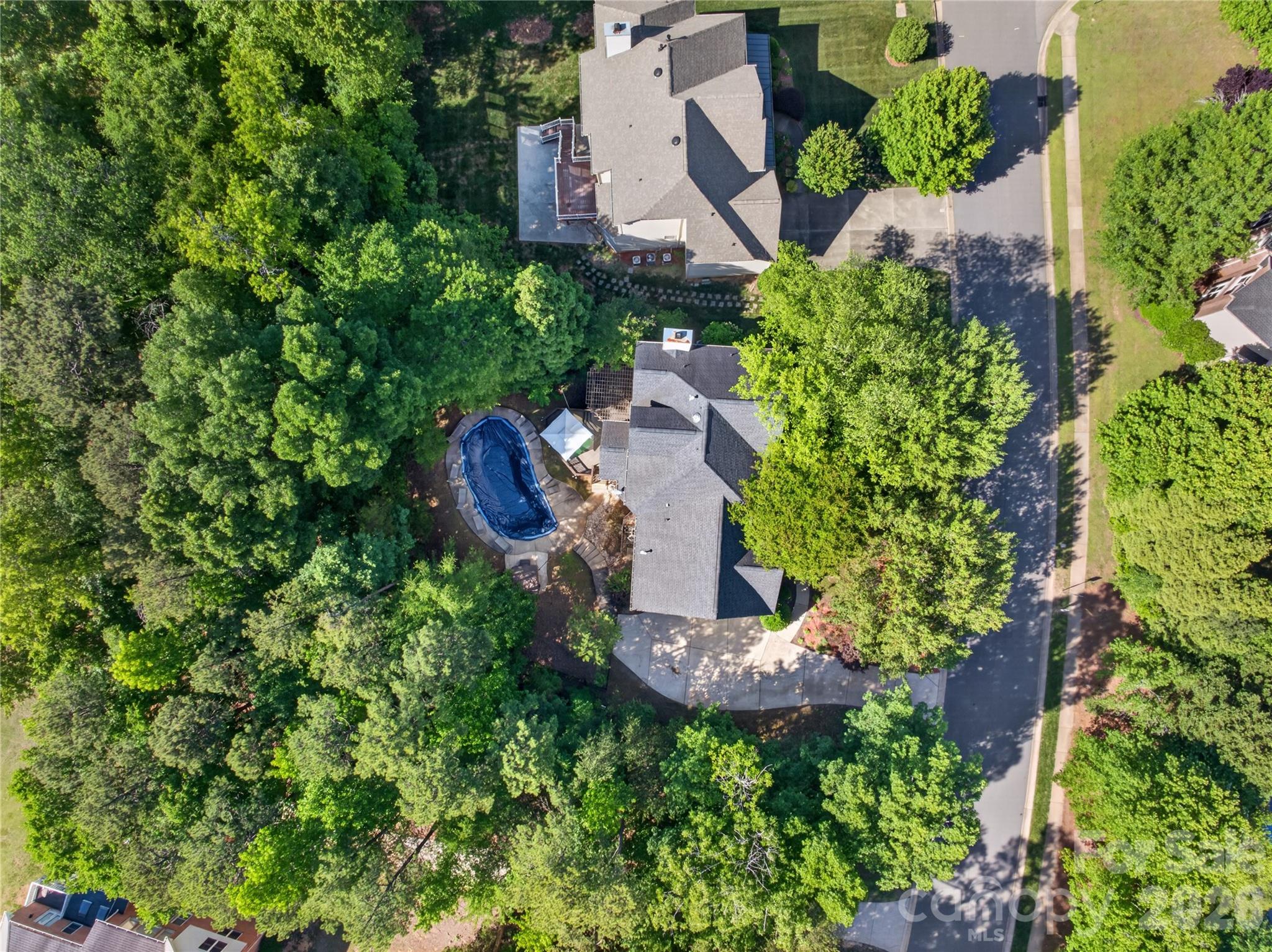 11117 Tavernay Parkway Property Photo 4