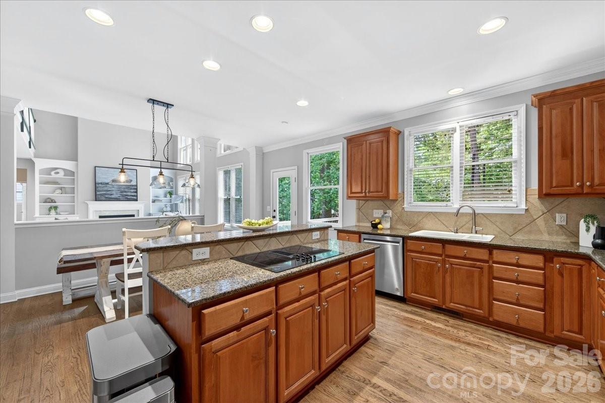 6410 Latta Springs Circle Property Photo 18