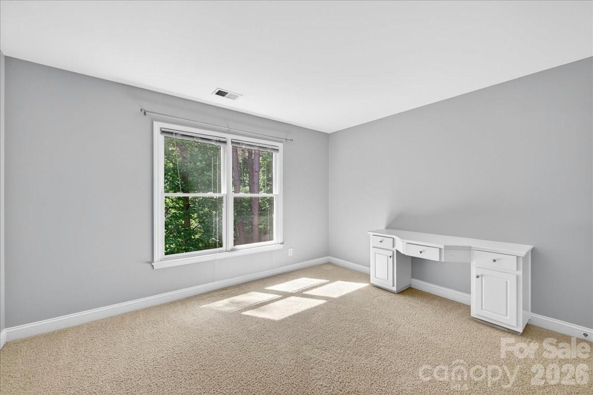 6410 Latta Springs Circle Property Photo 33