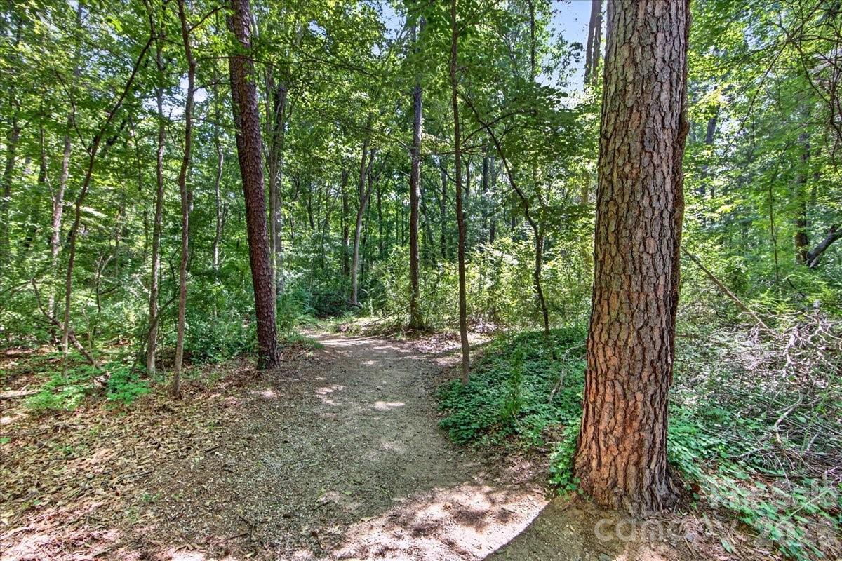 6410 Latta Springs Circle Property Photo 41