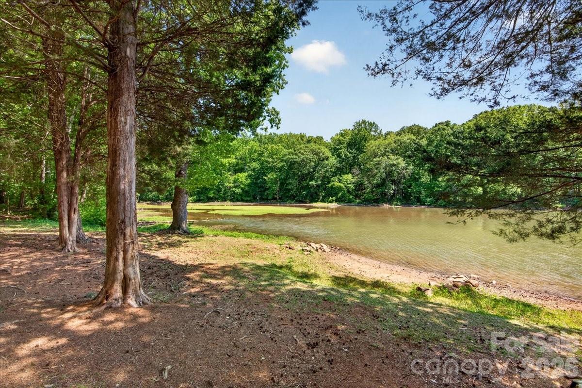 6410 Latta Springs Circle Property Photo 43