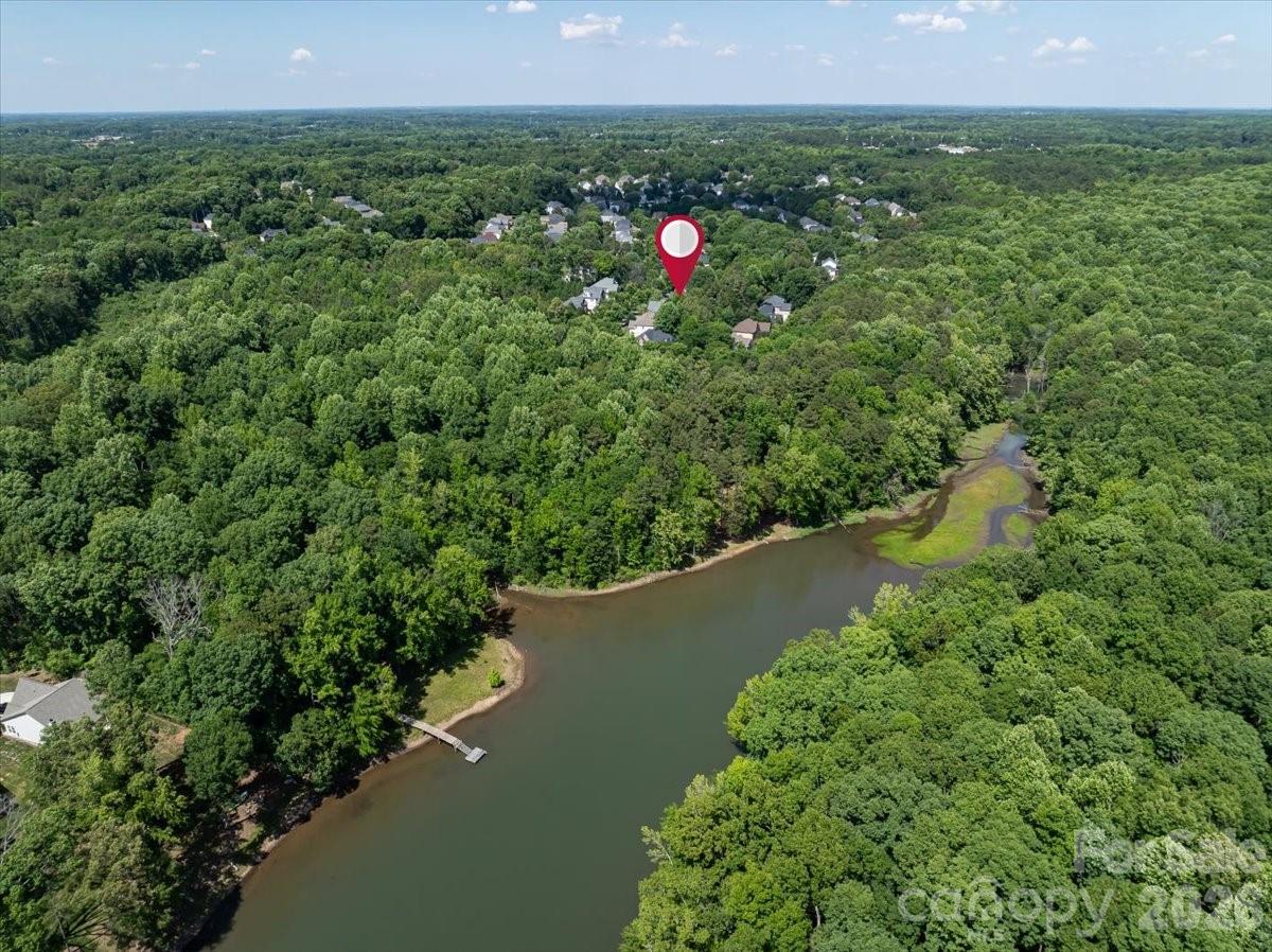6410 Latta Springs Circle Property Photo 46