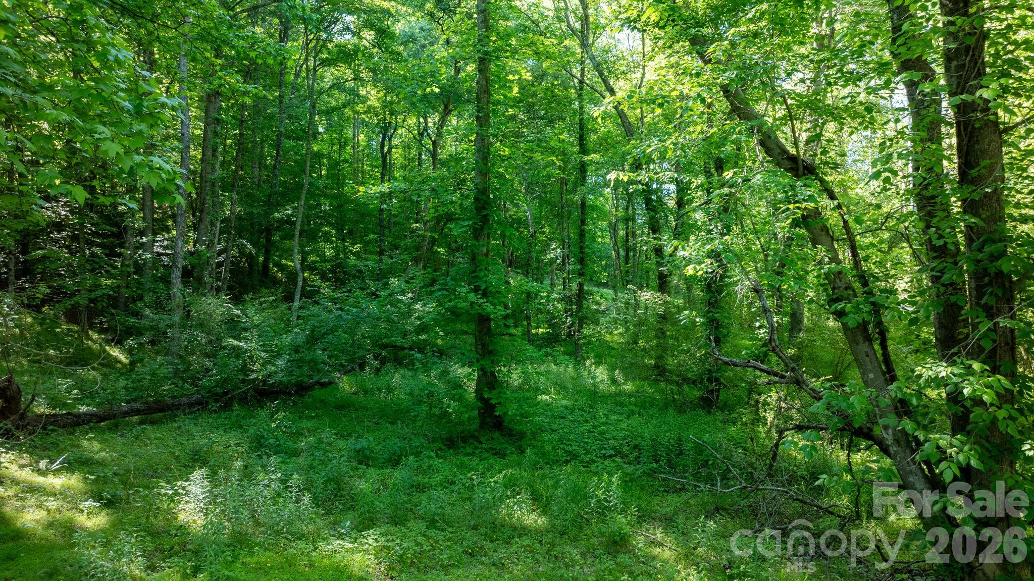 3355 Helton Hartley Place Property Photo 44