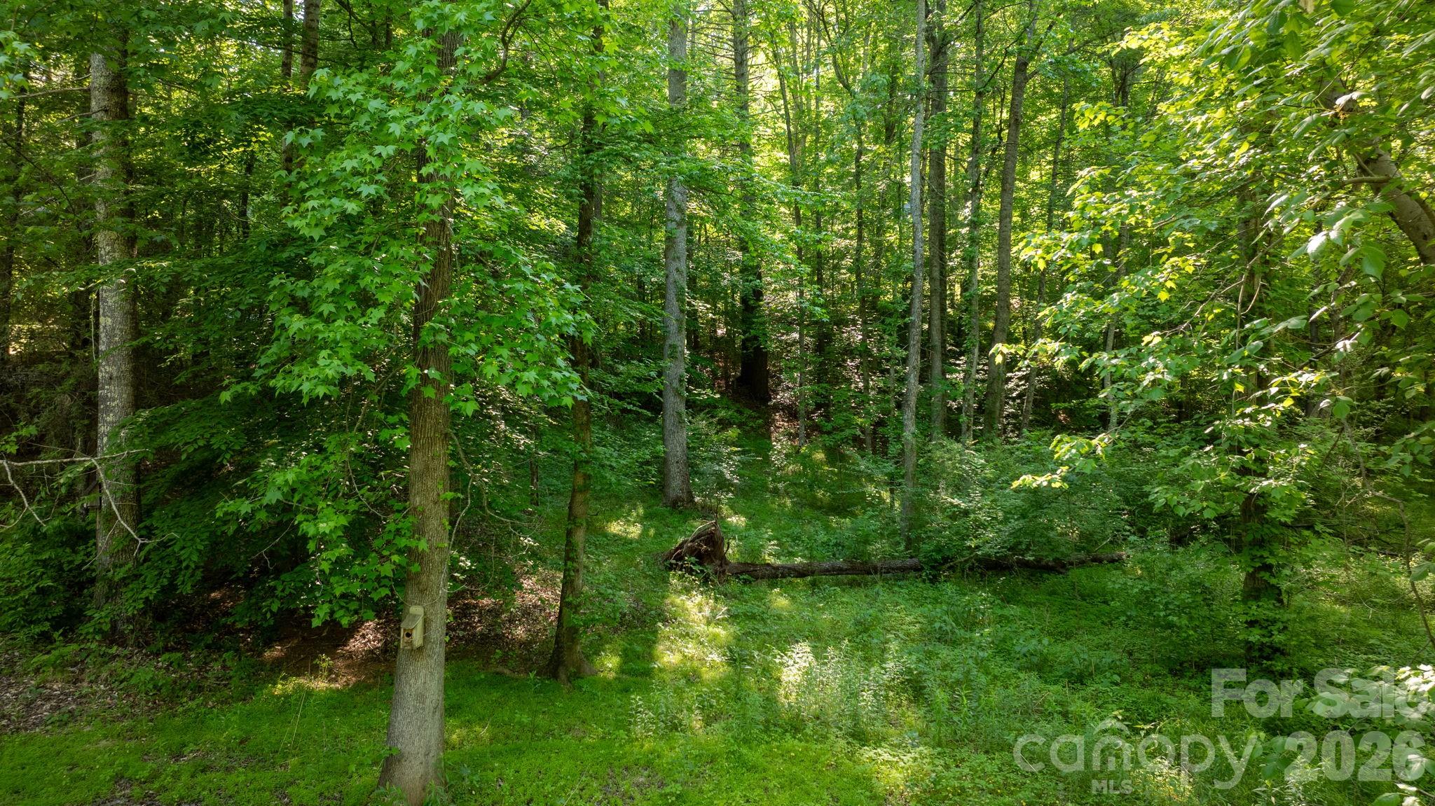 3355 Helton Hartley Place Property Photo 45