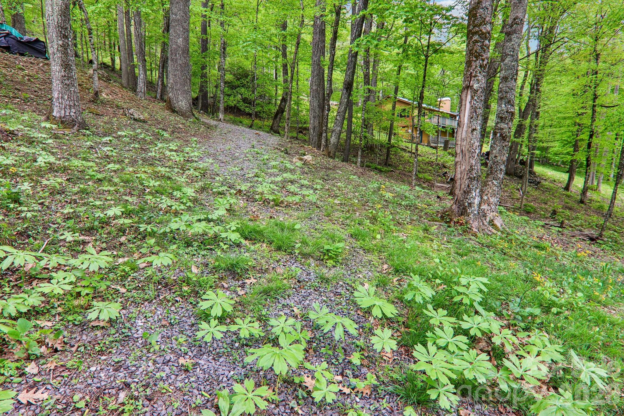 101 Oak Ridge Court Property Photo 26