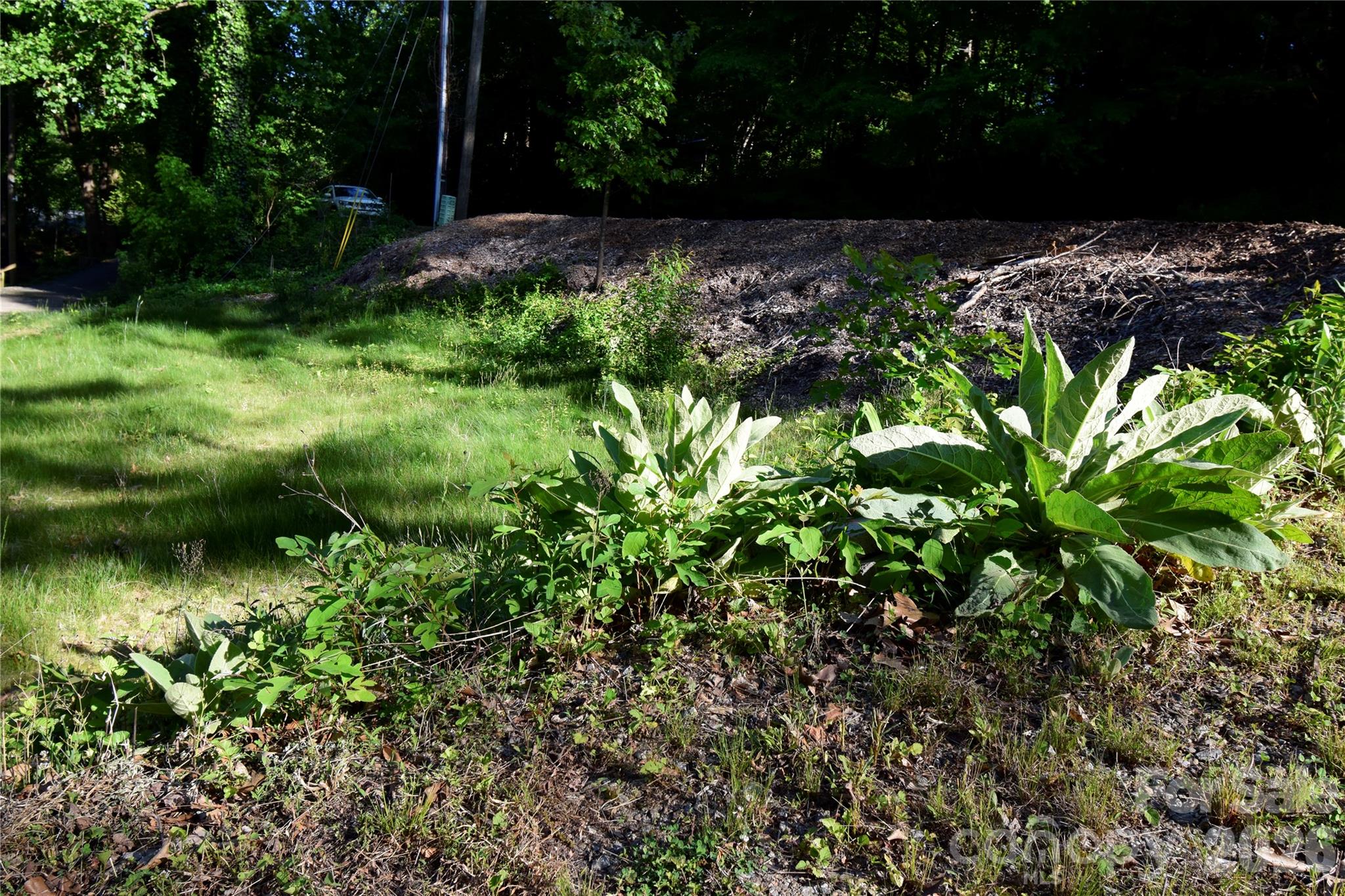 539 Bailey Road Property Photo 4