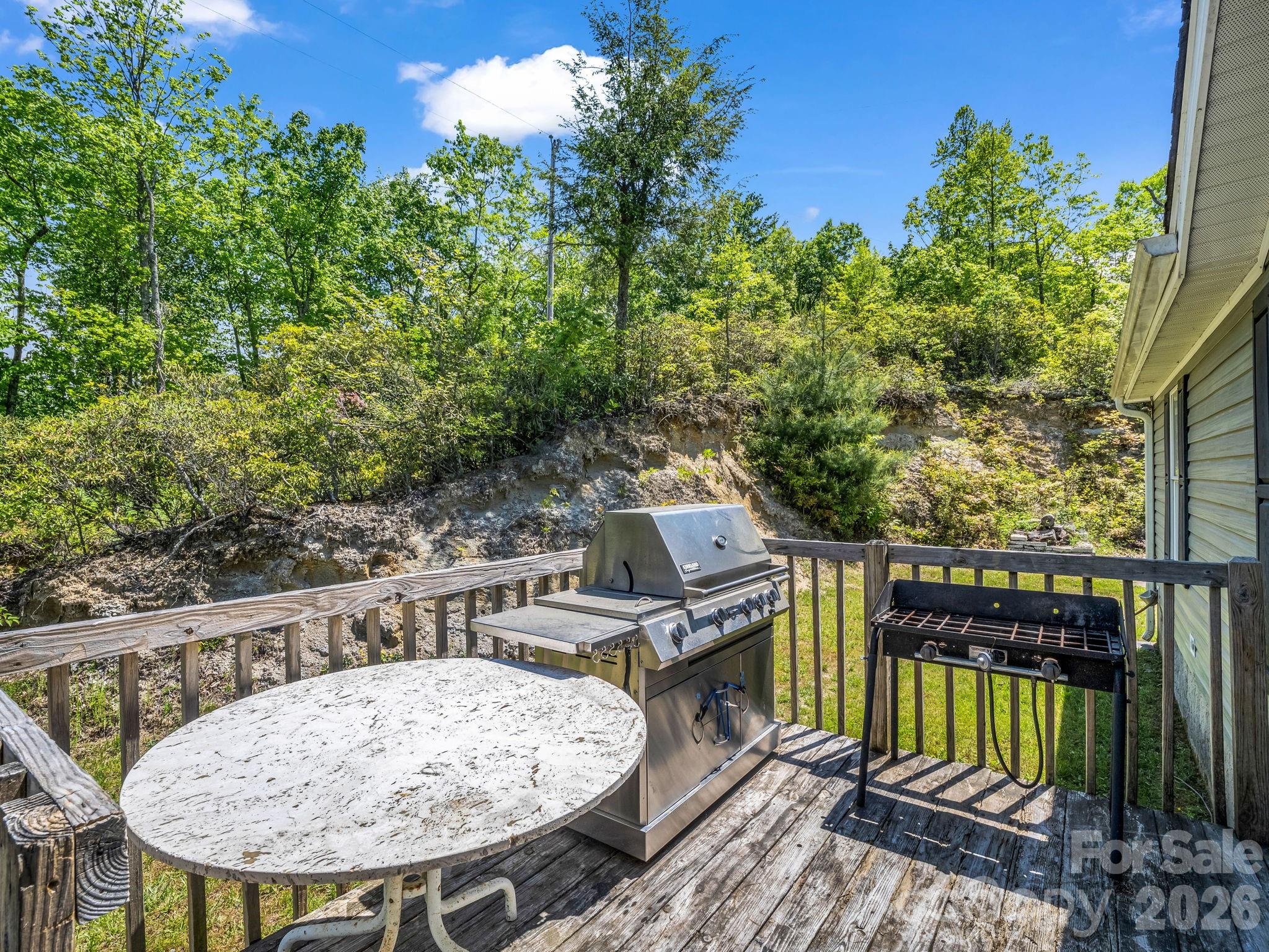2053 Nancy Mountain Road Property Photo 39