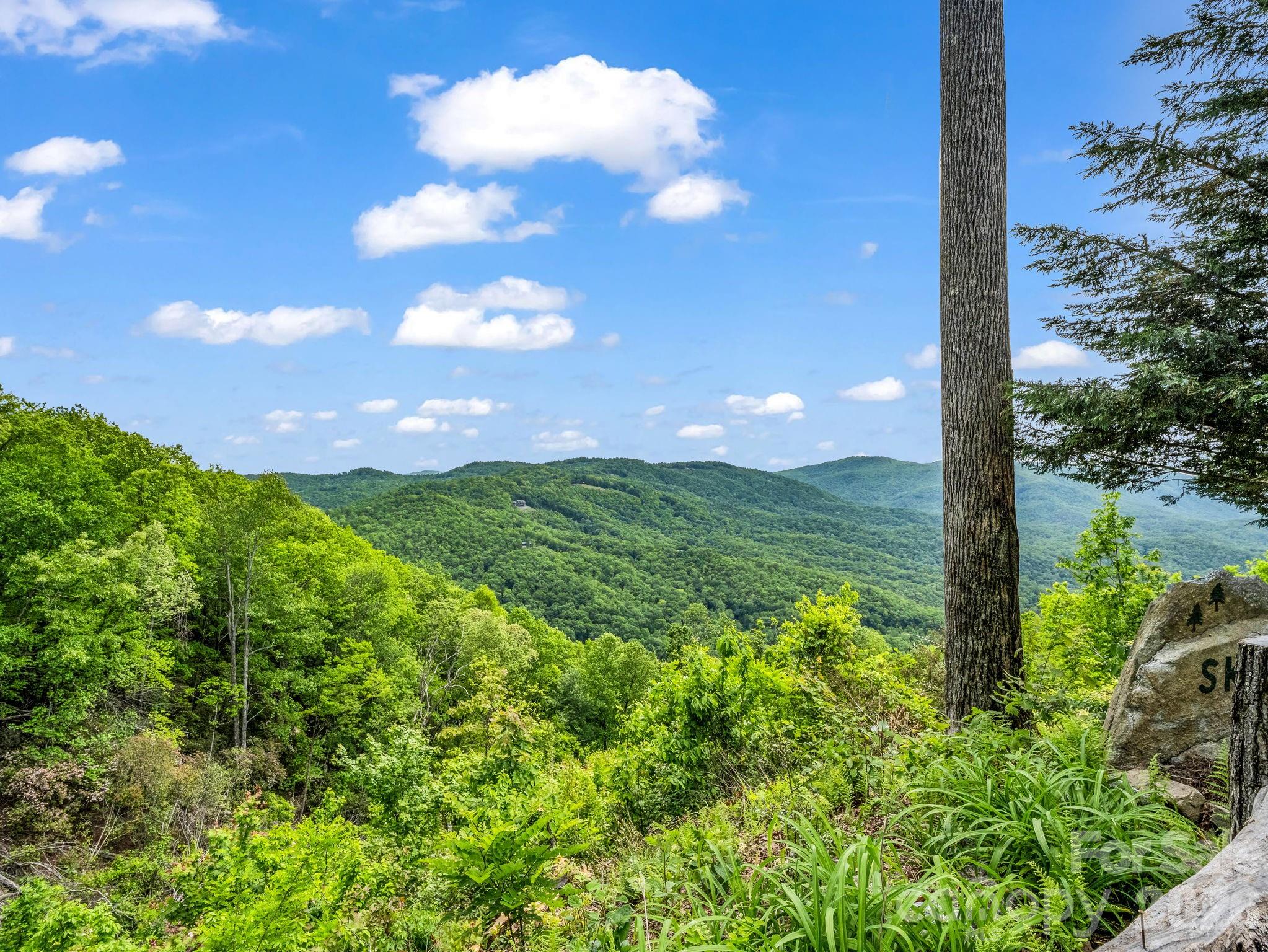2053 Nancy Mountain Road Property Photo 40