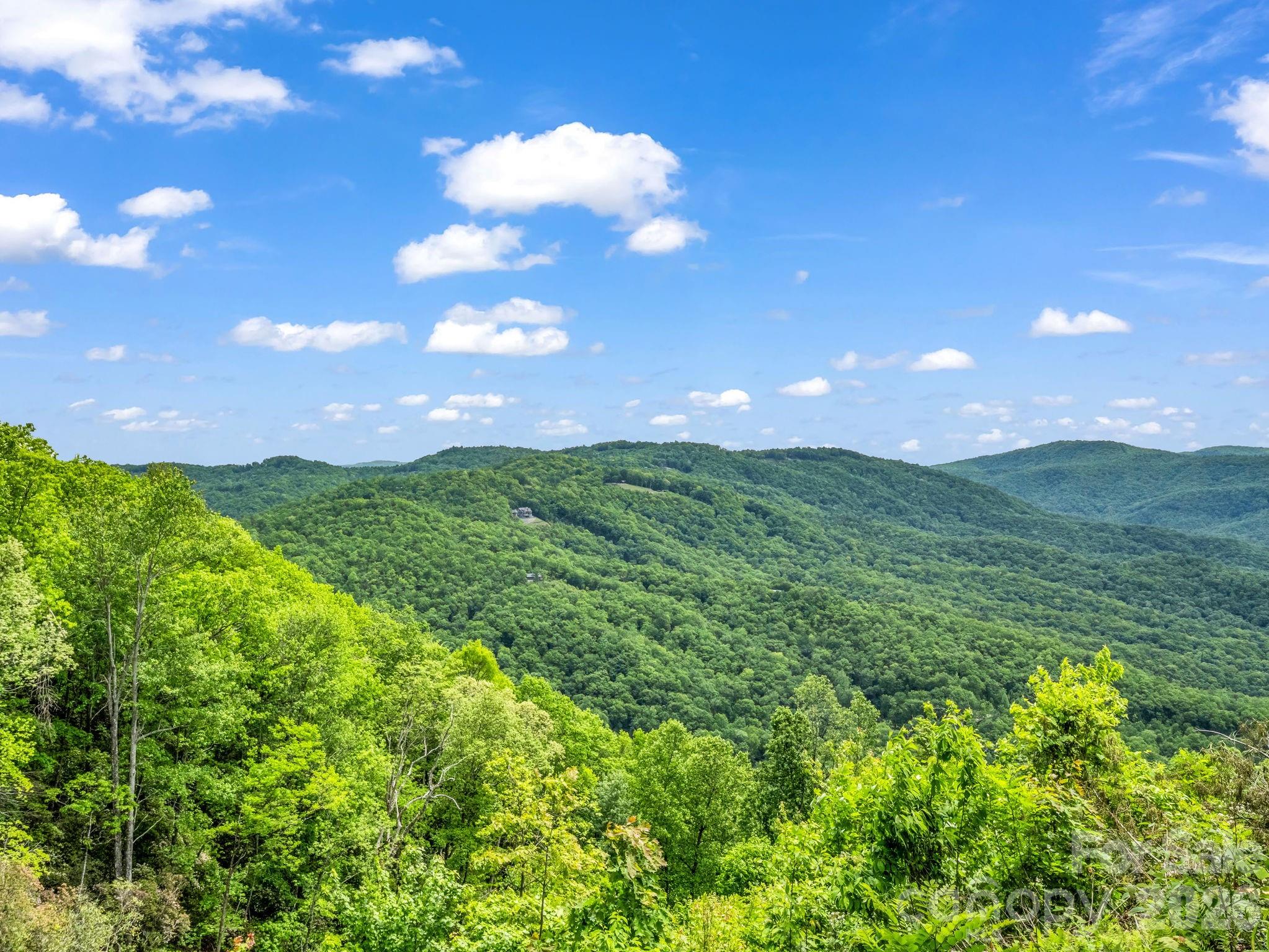 2053 Nancy Mountain Road Property Photo 41