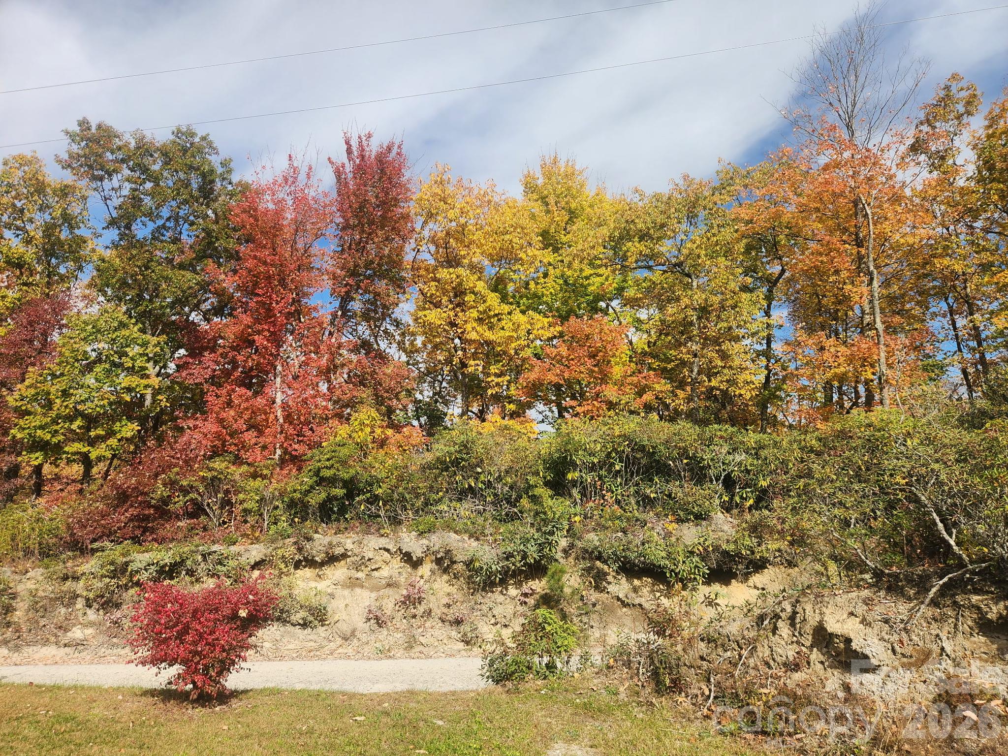 2053 Nancy Mountain Road Property Photo 47