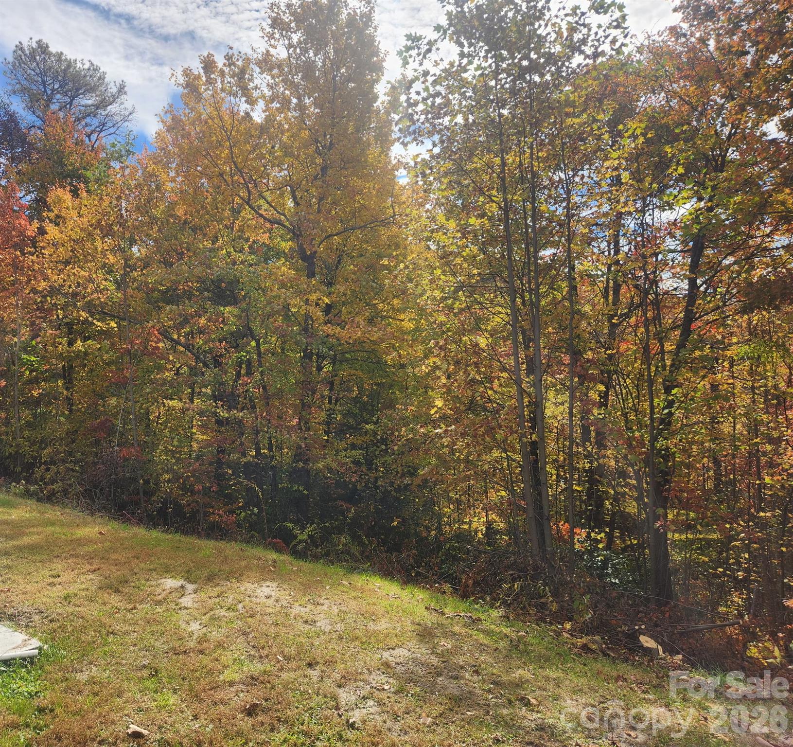 2053 Nancy Mountain Road Property Photo 48
