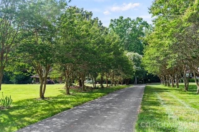 4013 Carlton Drive 1 Property Photo 37