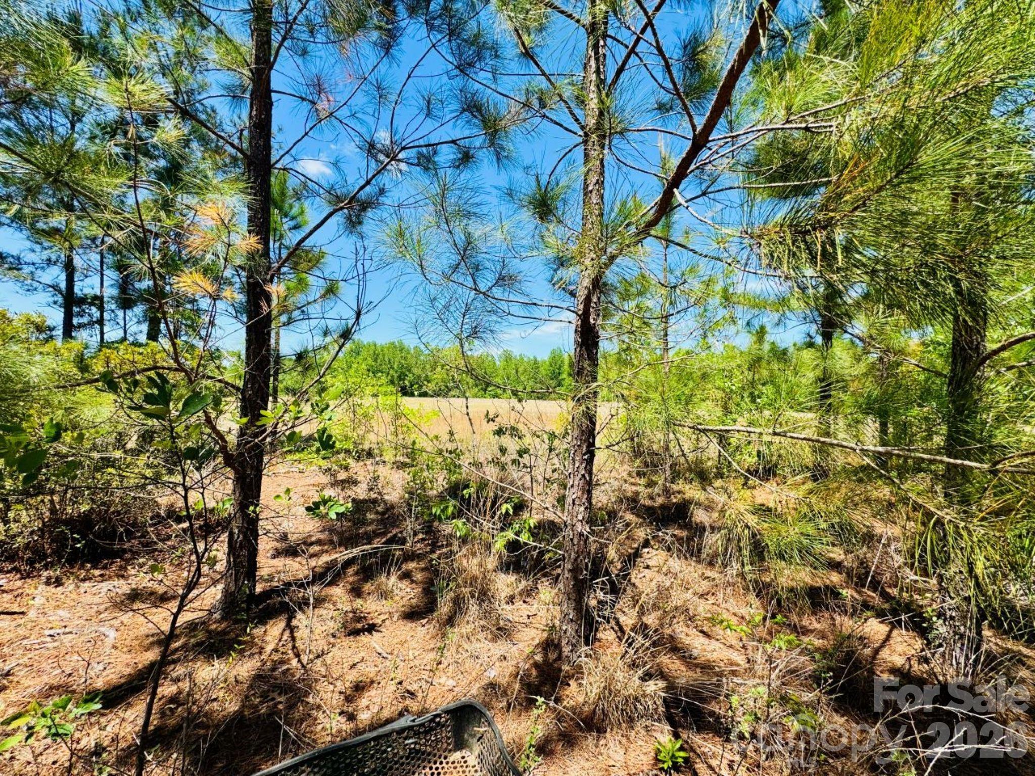 17ac Jc Barefoot Road Property Photo 6