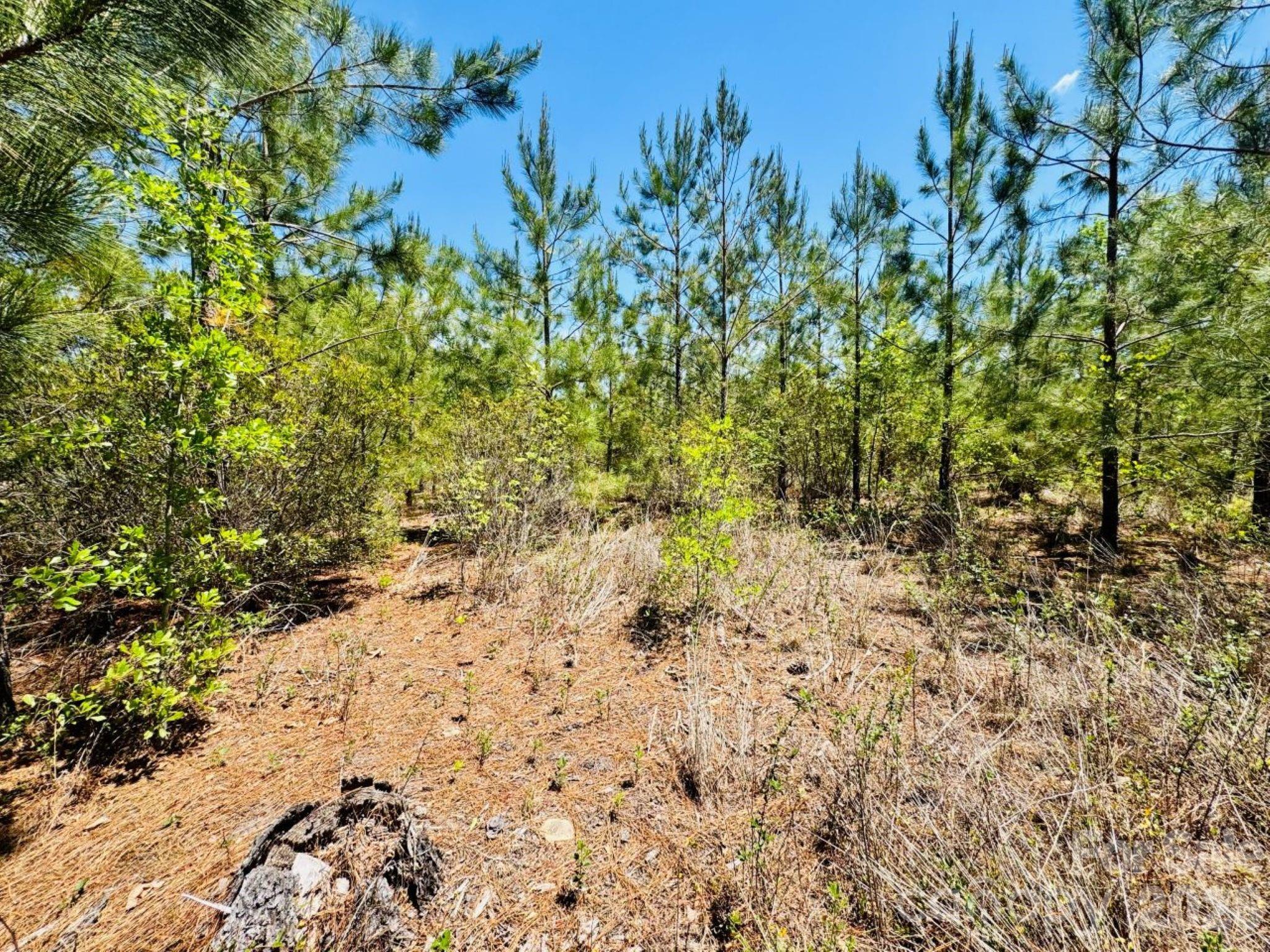 17ac Jc Barefoot Road Property Photo 7