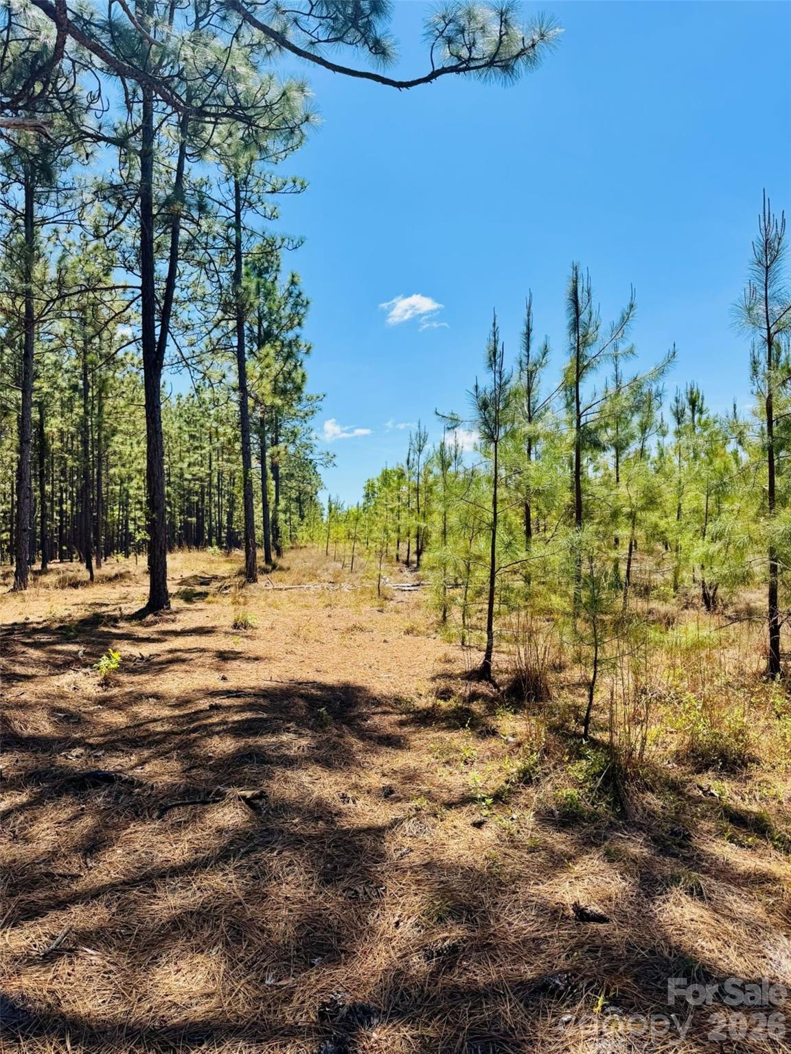 17ac Jc Barefoot Road Property Photo 8