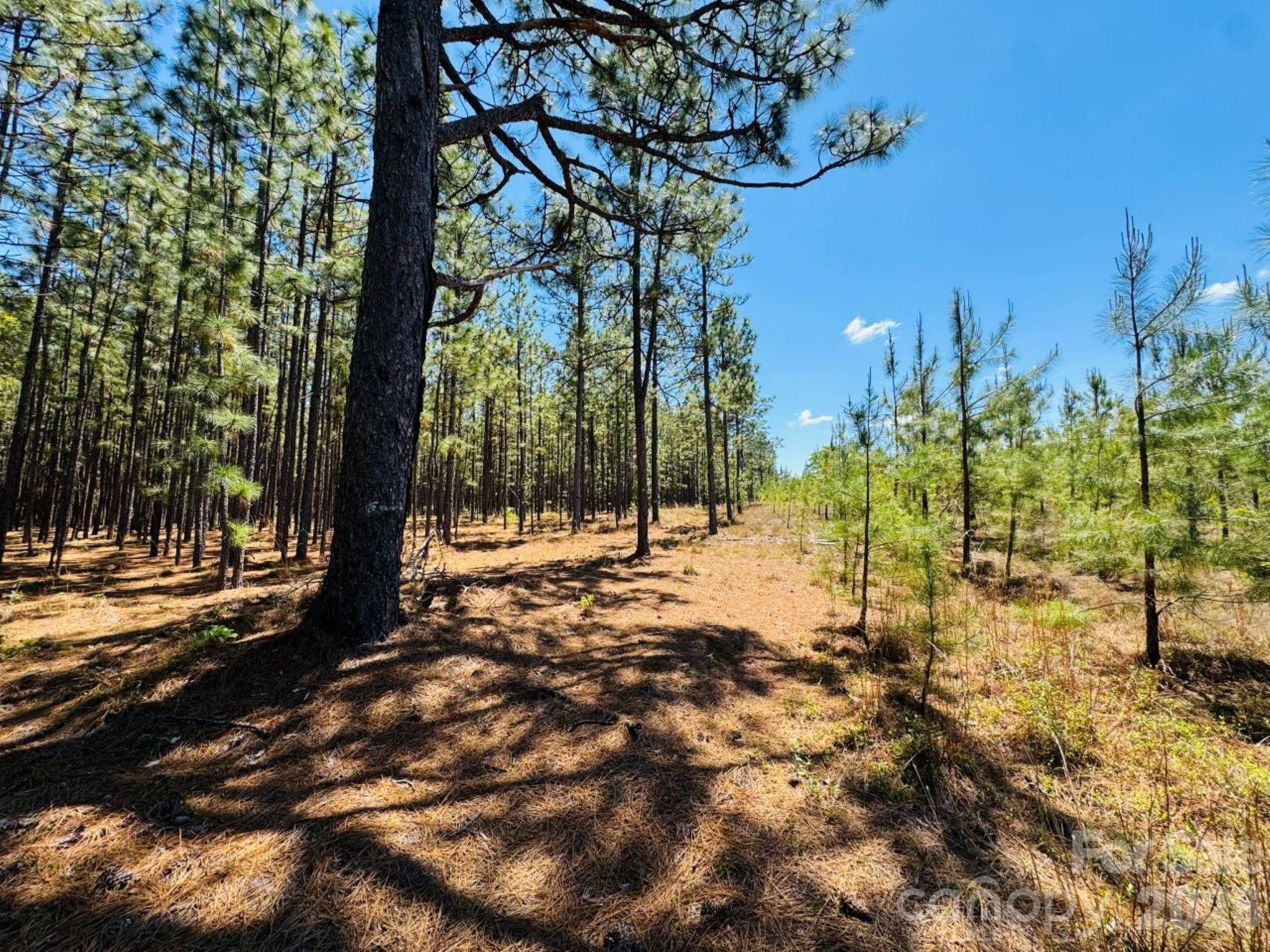 17ac Jc Barefoot Road Property Photo 9