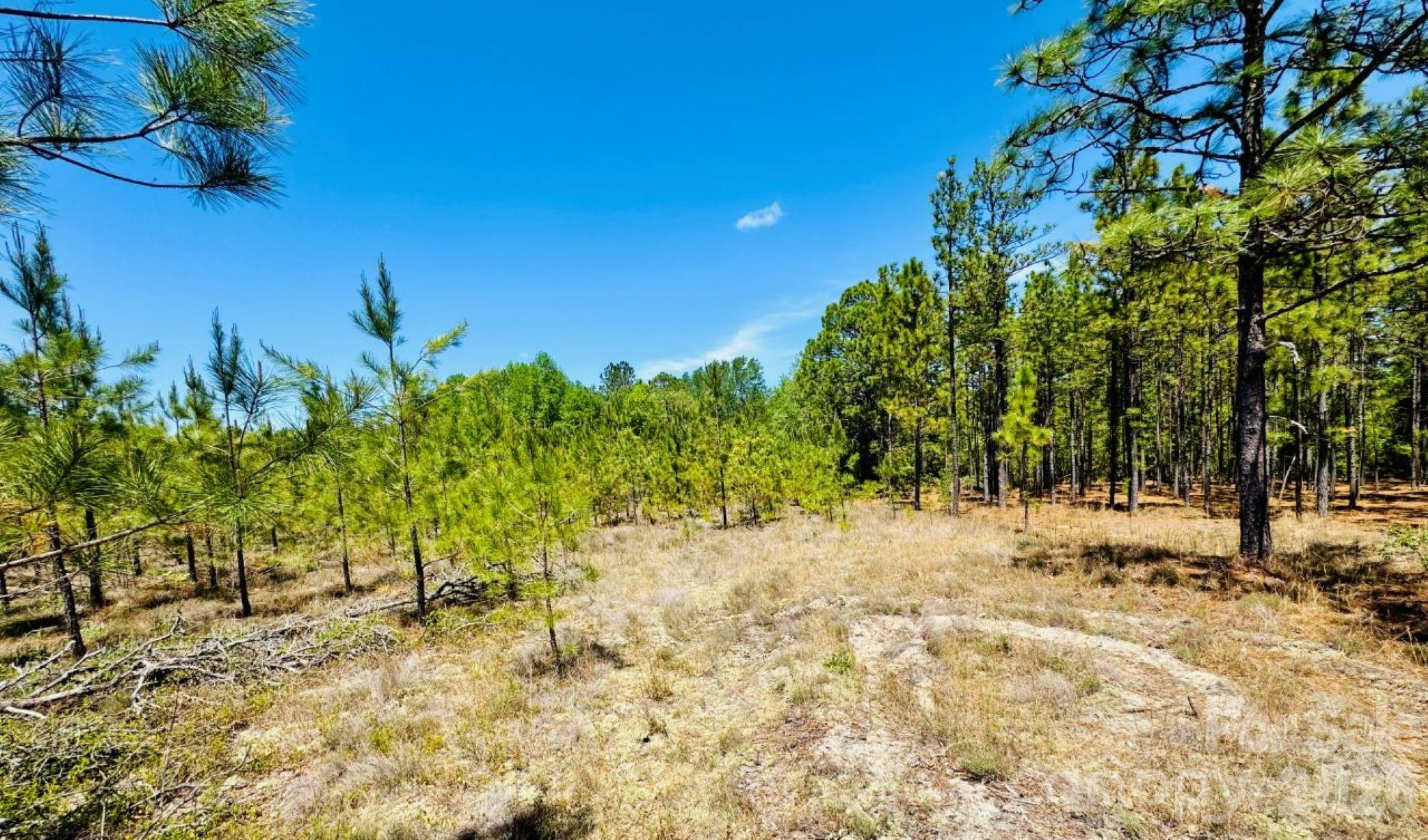 17ac Jc Barefoot Road Property Photo 10