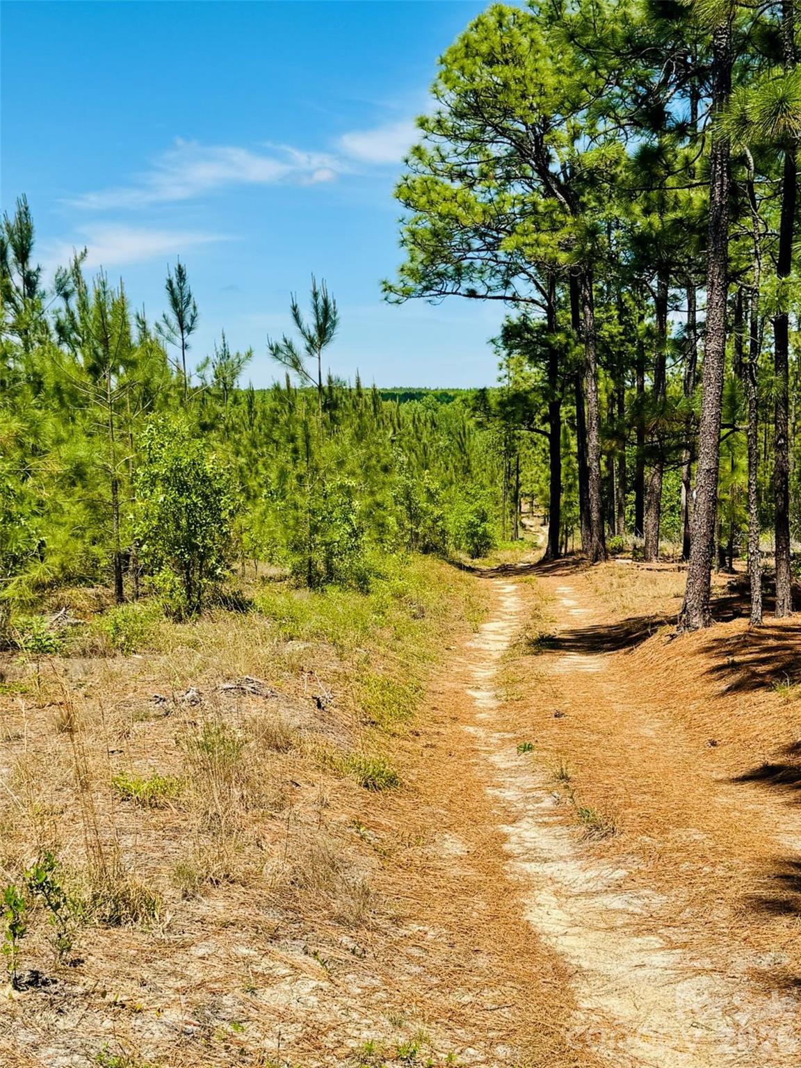 17ac Jc Barefoot Road Property Photo 11