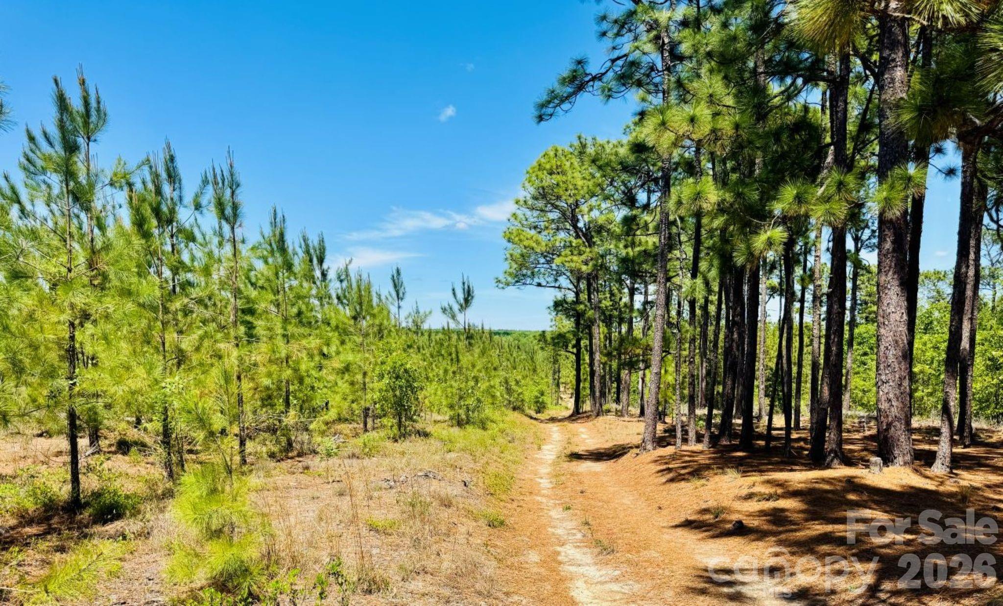17ac Jc Barefoot Road Property Photo 12