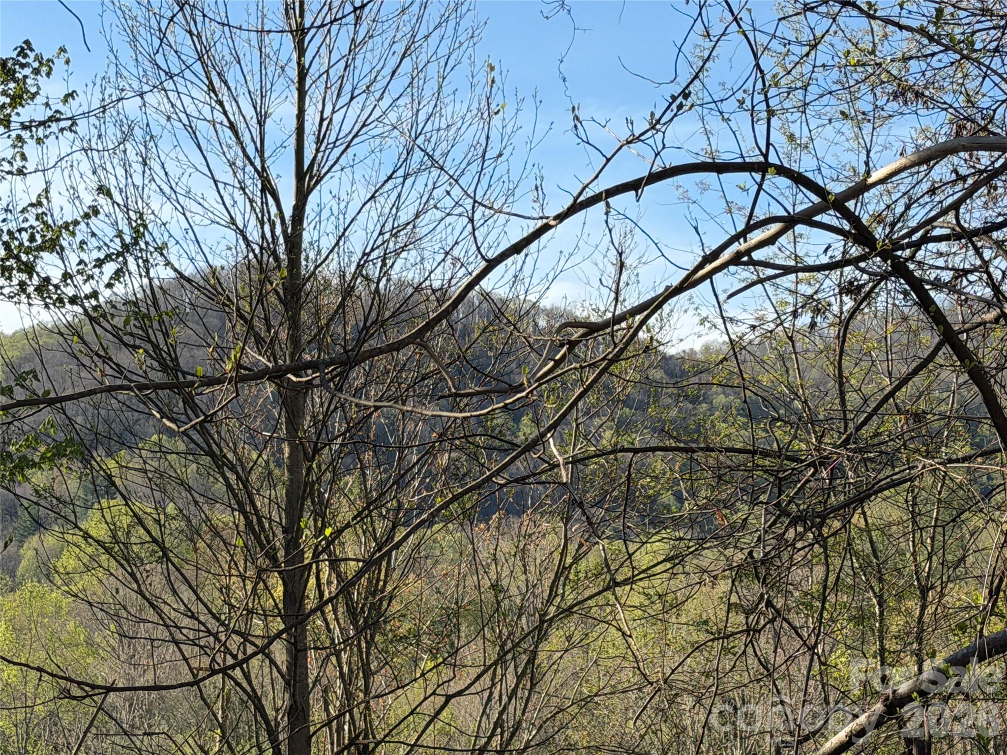 219 Bee Ridge Road Property Photo 5