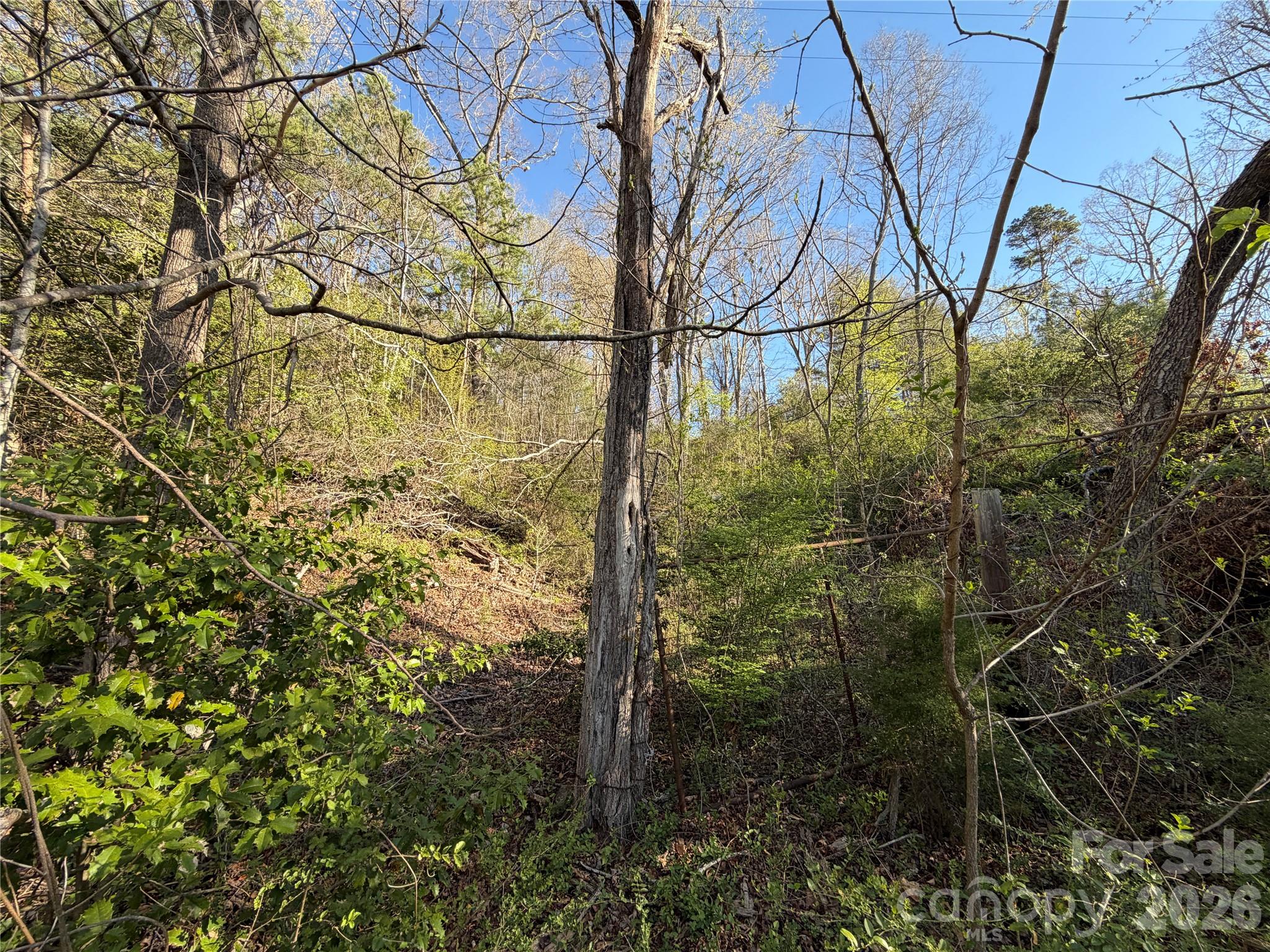 219 Bee Ridge Road Property Photo 7