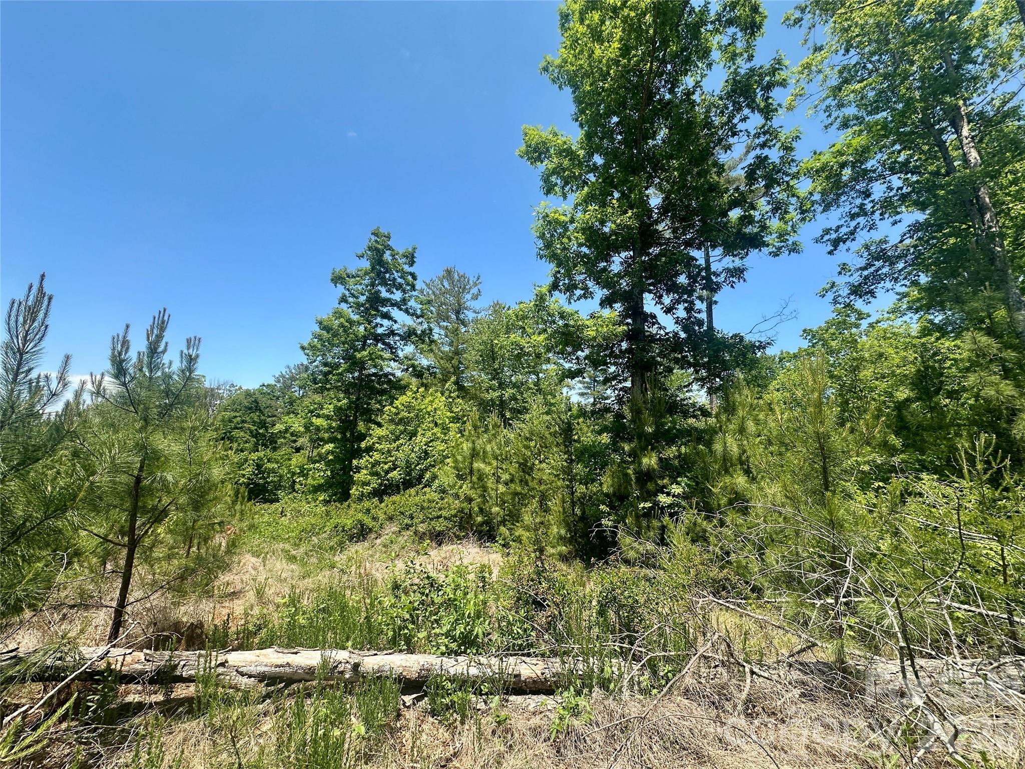 200 Westward Drive Property Photo 2