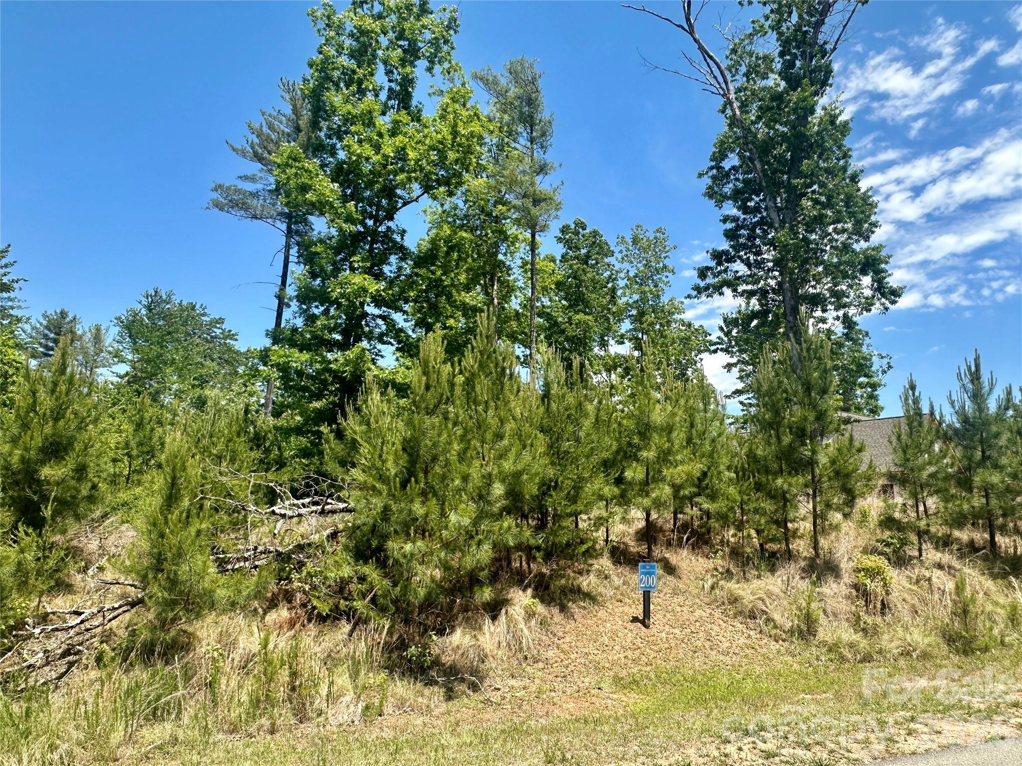 200 Westward Drive Property Photo 8