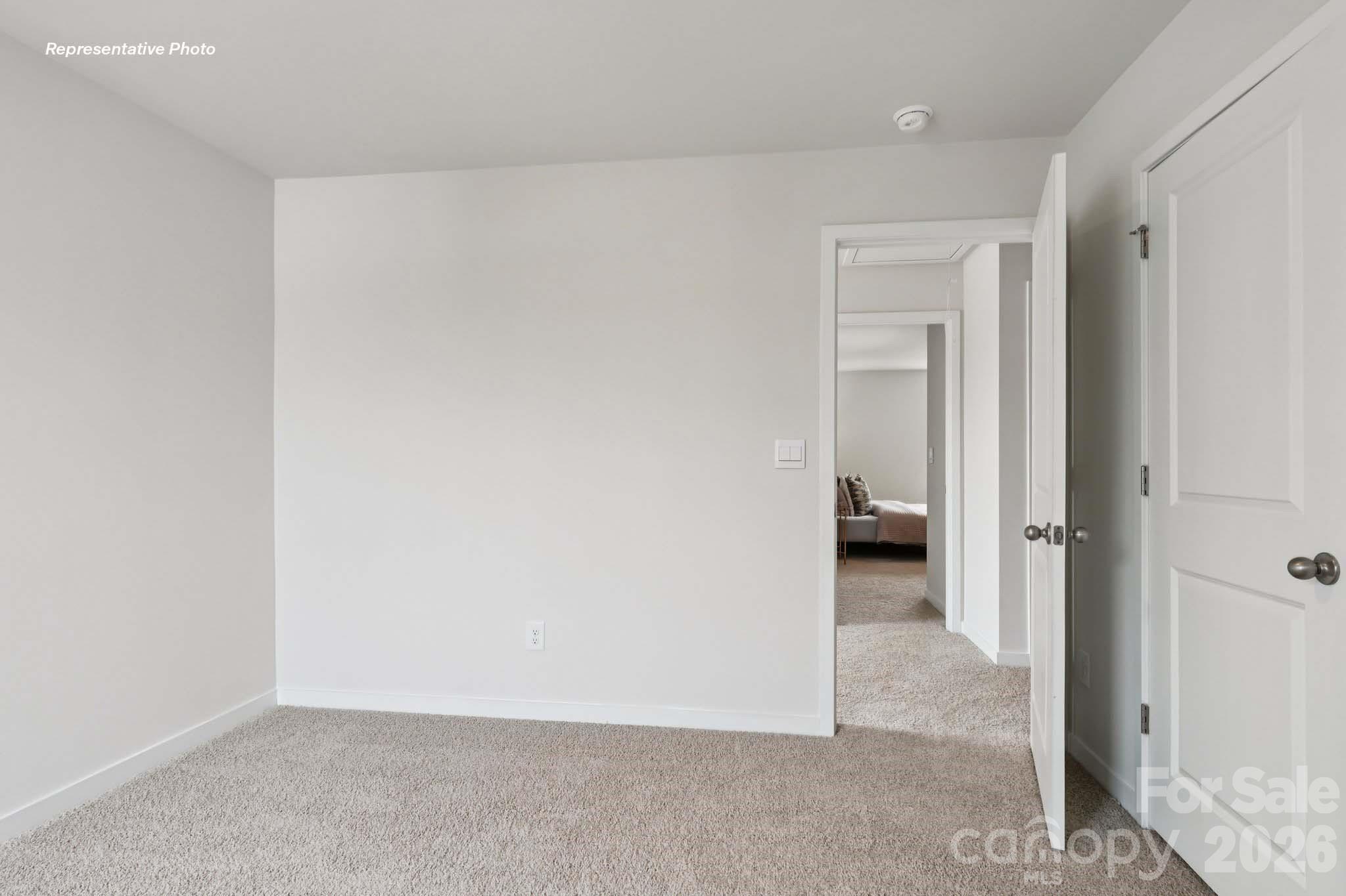 2813 Frances View Lane Property Photo 17