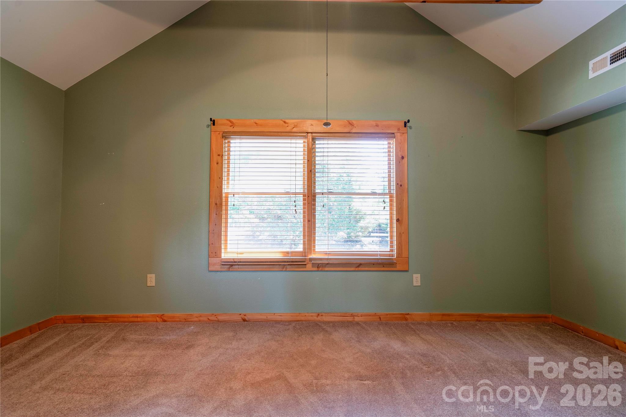 389 Woodgate Drive Property Photo 23