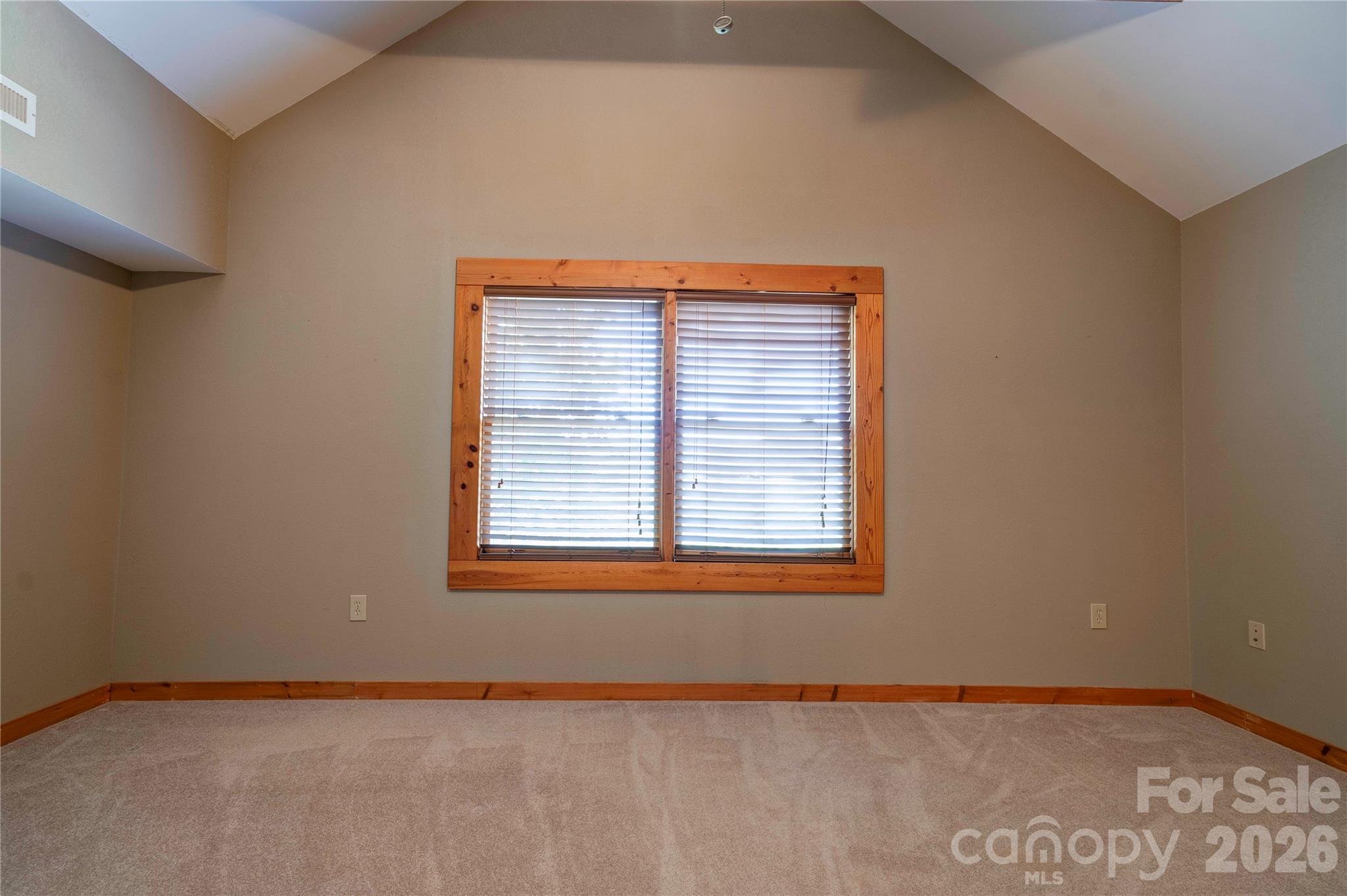 389 Woodgate Drive Property Photo 28