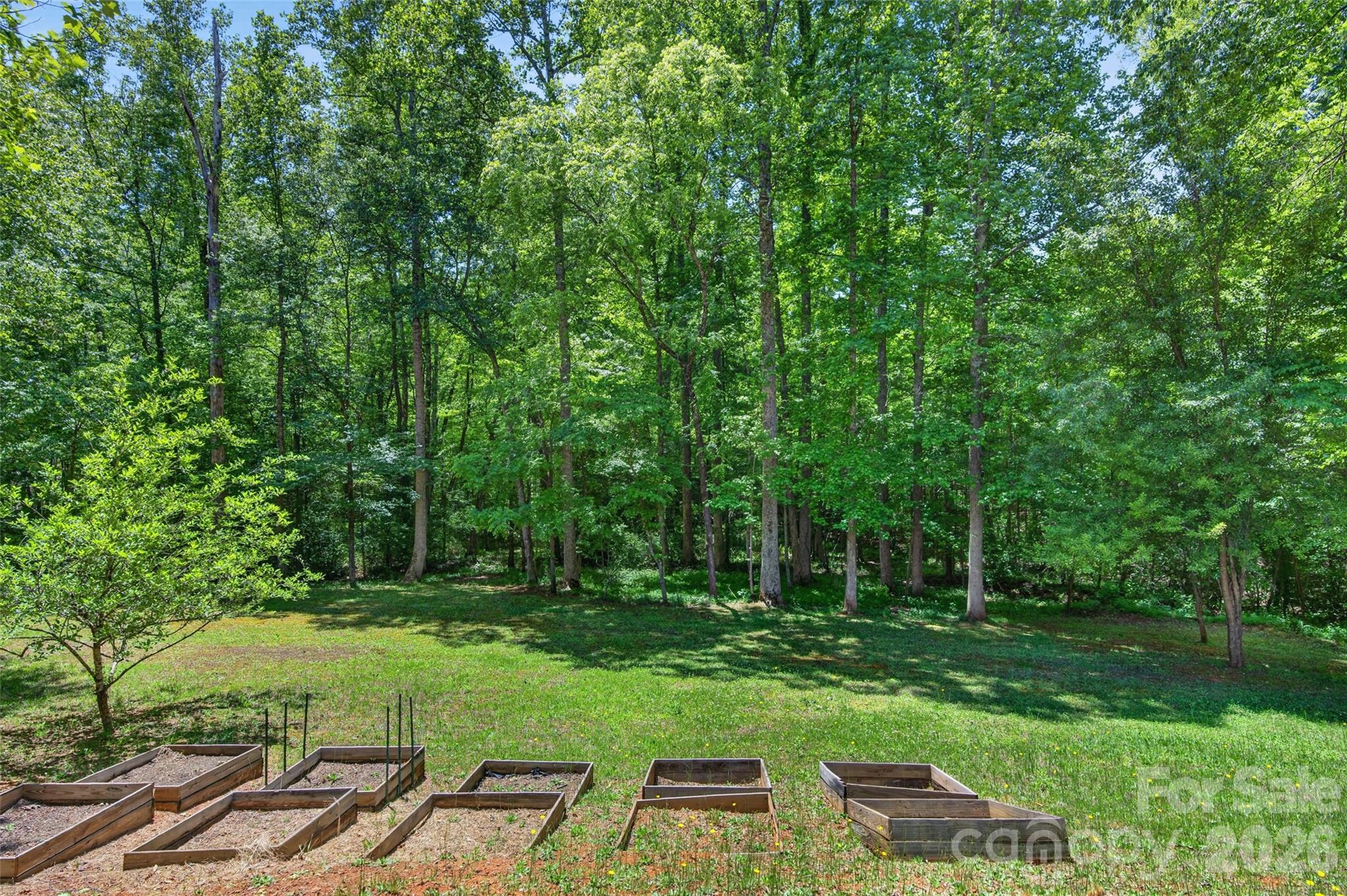 2977 Cabin Creek Drive Property Photo 39