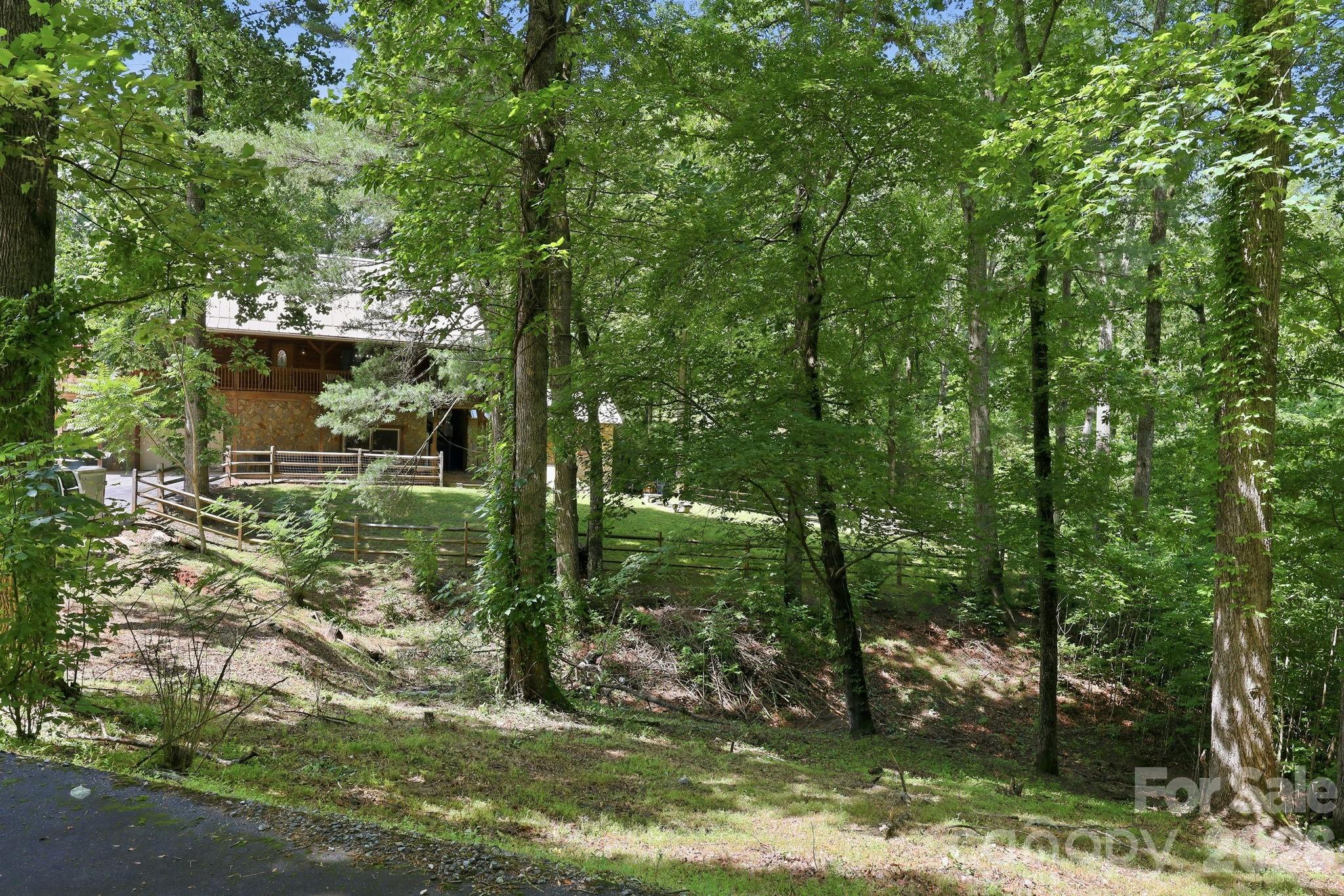25 Theresa Terrace Road Property Photo 40