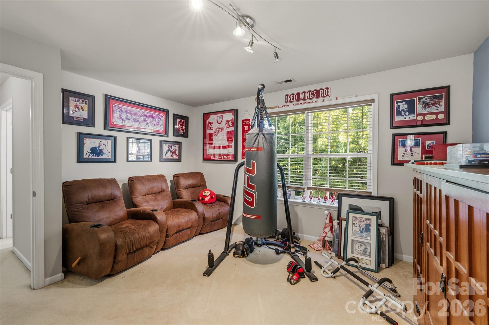 7453 Mountain Ridge Drive Property Photo 17