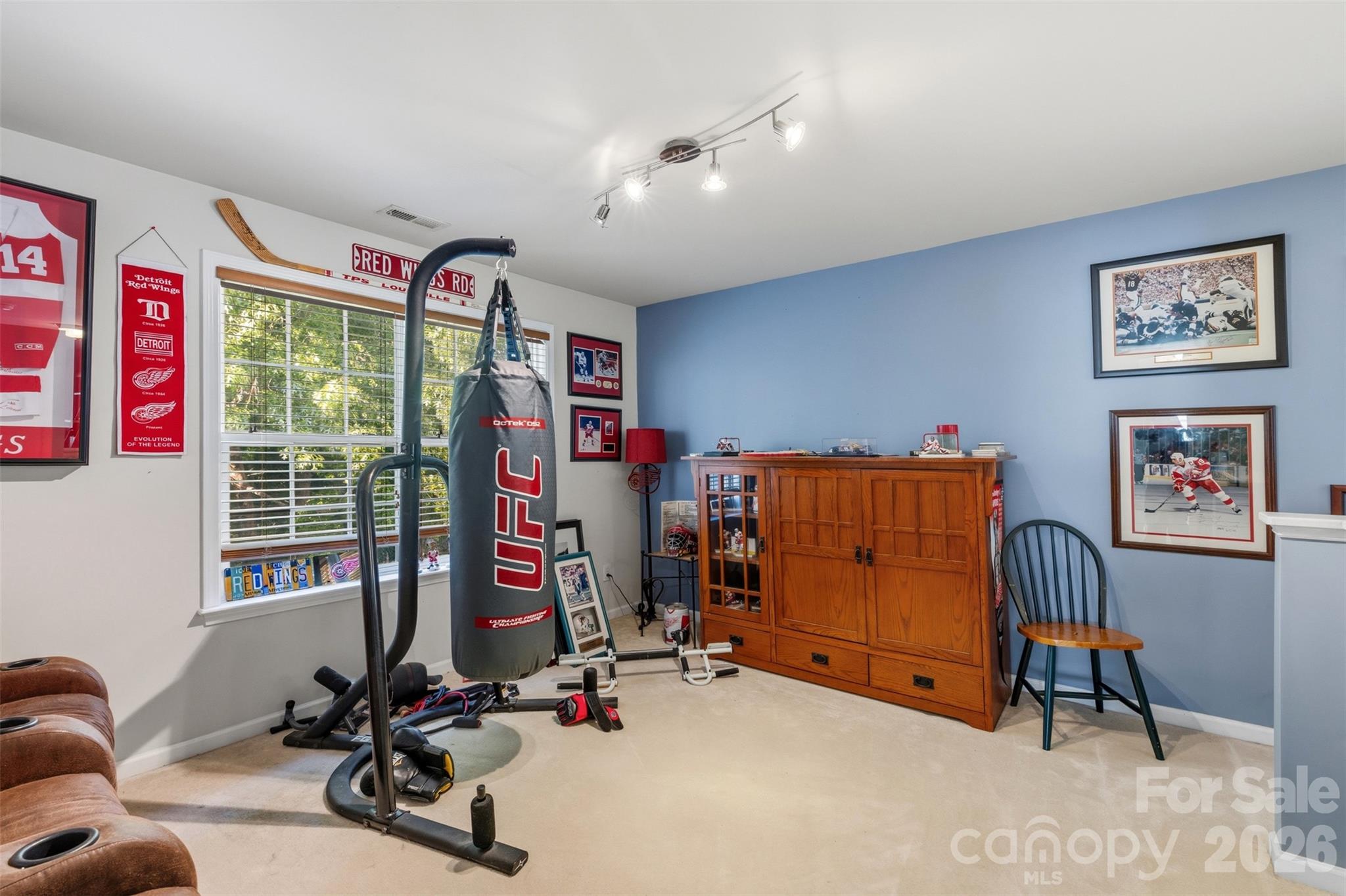 7453 Mountain Ridge Drive Property Photo 19
