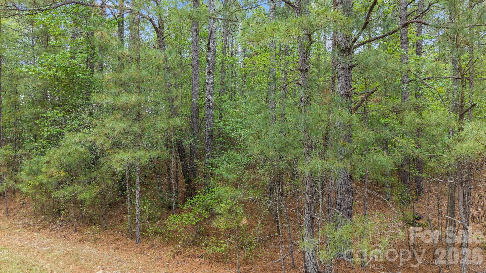 Vacant Davis Haywood Road Property Photo 2