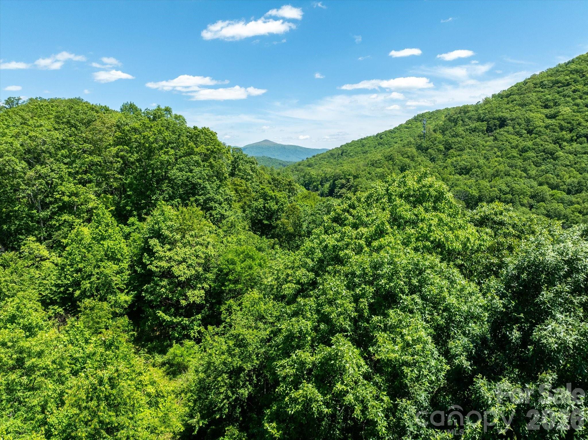 99999 Winding Ridge Road Property Photo 3
