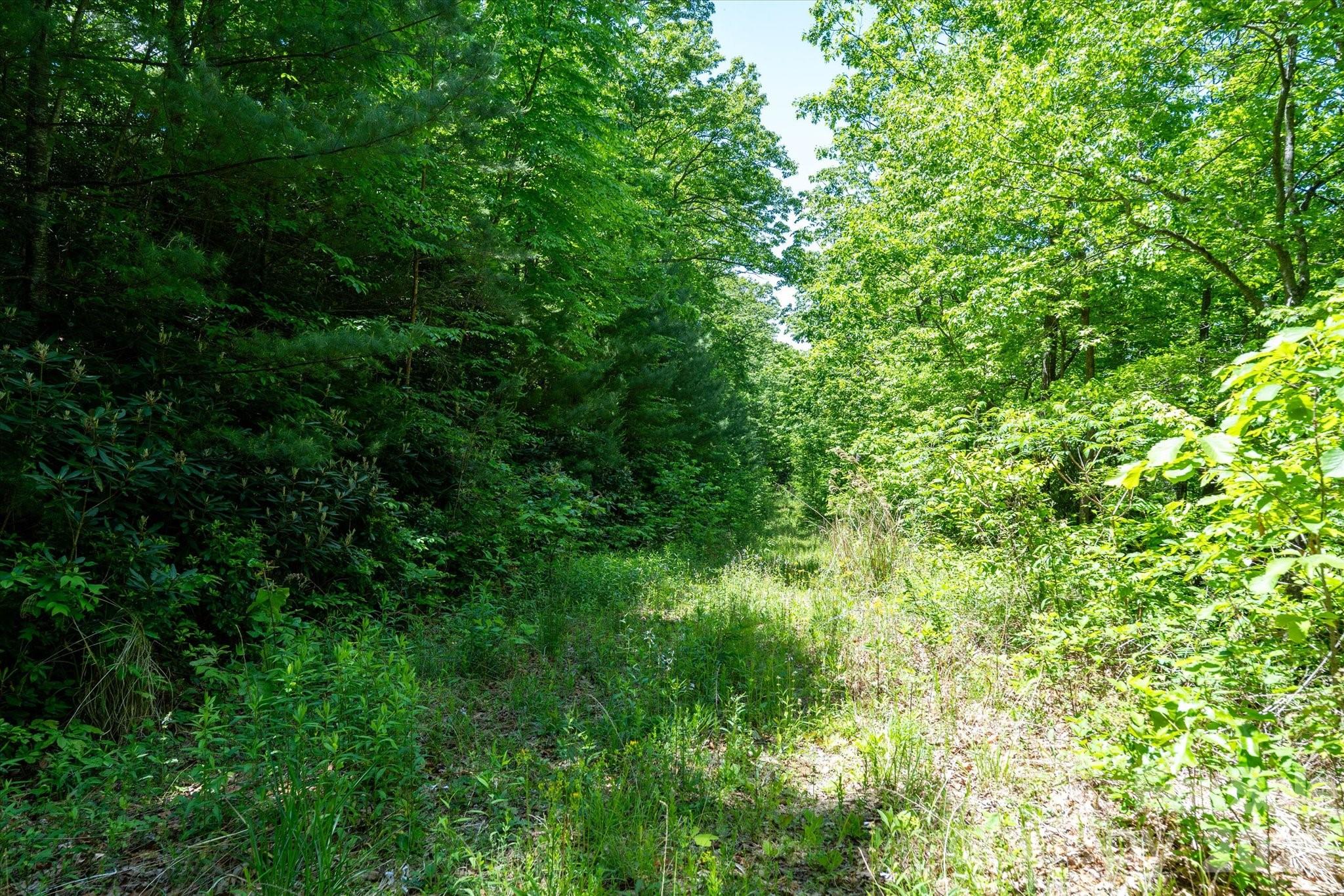 99999 Winding Ridge Road Property Photo 10