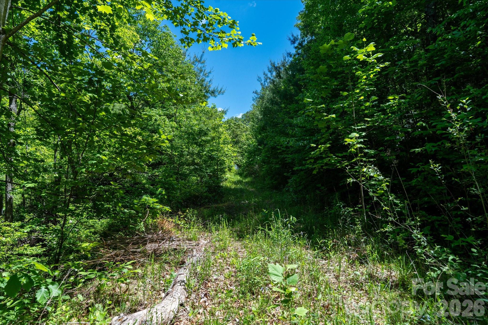 99999 Winding Ridge Road Property Photo 11