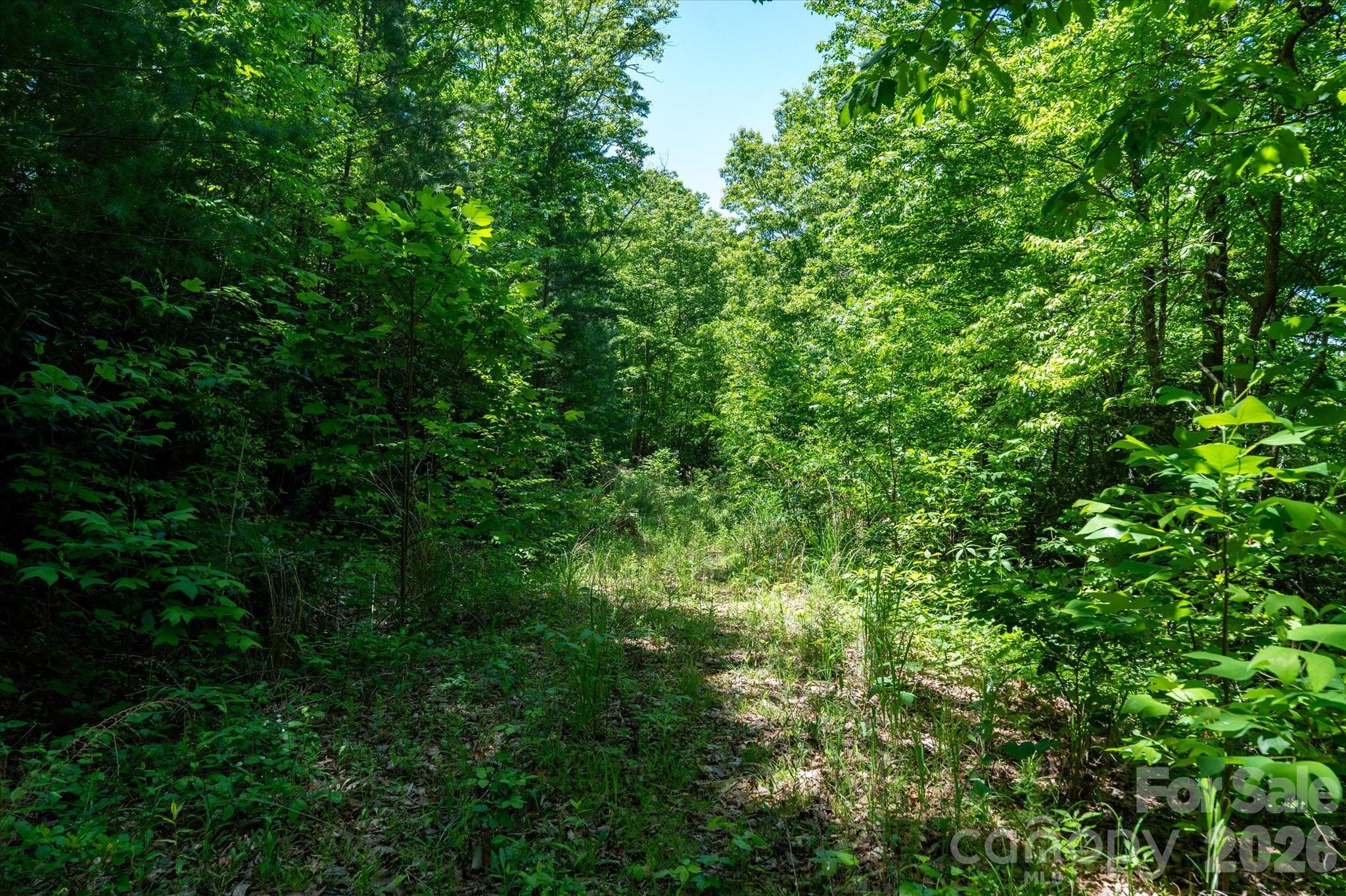 99999 Winding Ridge Road Property Photo 12
