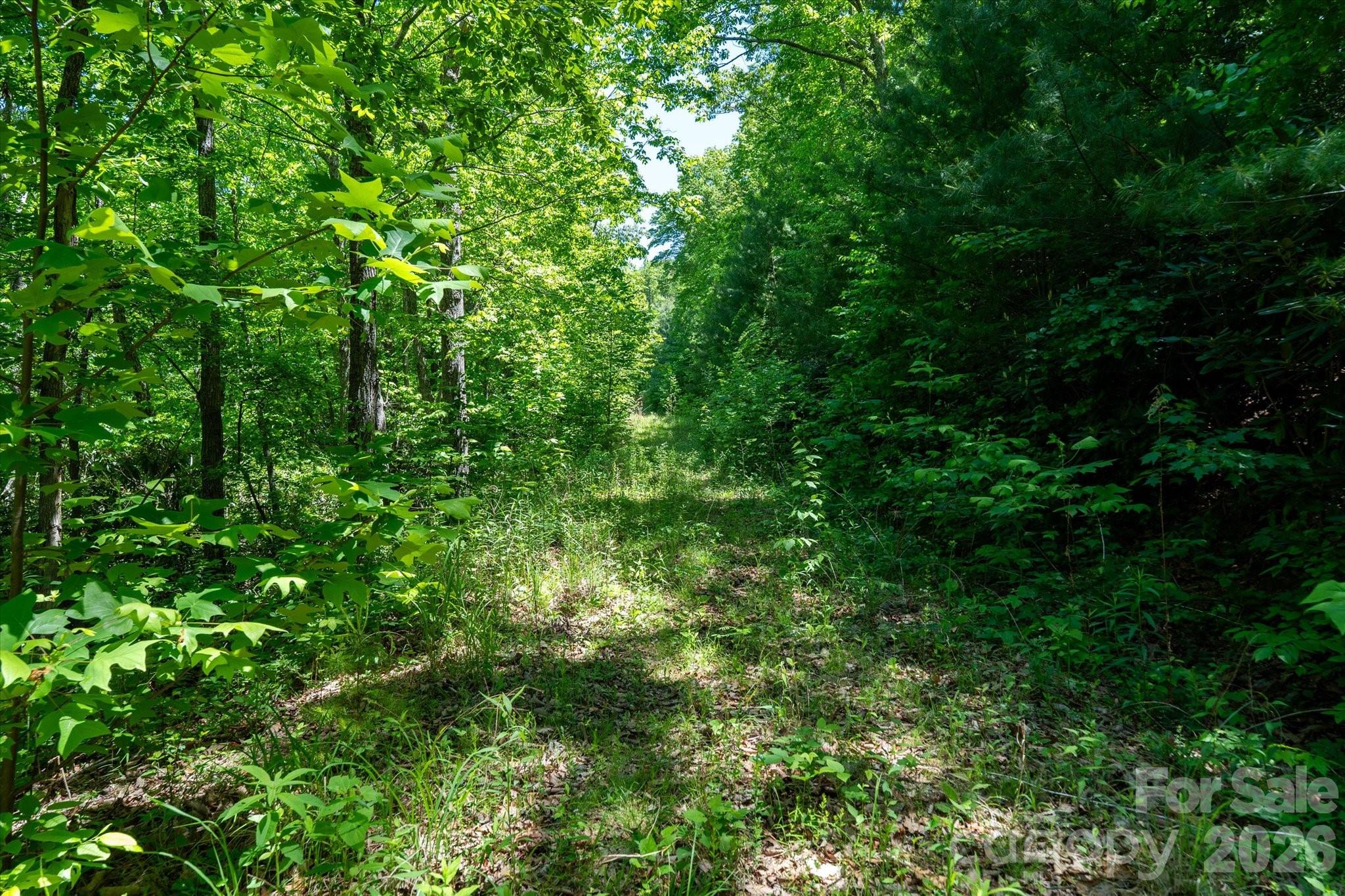 99999 Winding Ridge Road Property Photo 13