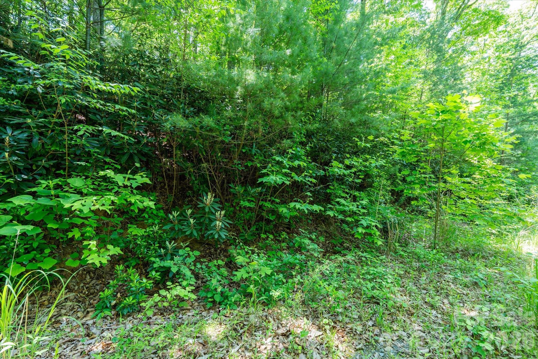 99999 Winding Ridge Road Property Photo 14